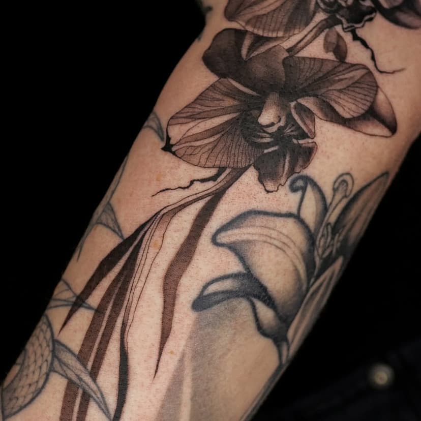 ORCHIDEA #closeup
#fillertattoo #gapfiller #blackandgray #abstractart #inkart #krakowtattoo #krakowtattoostudio 

Zapraszam po więcej podobnych motywów. Kocham robić rośliny 🌱