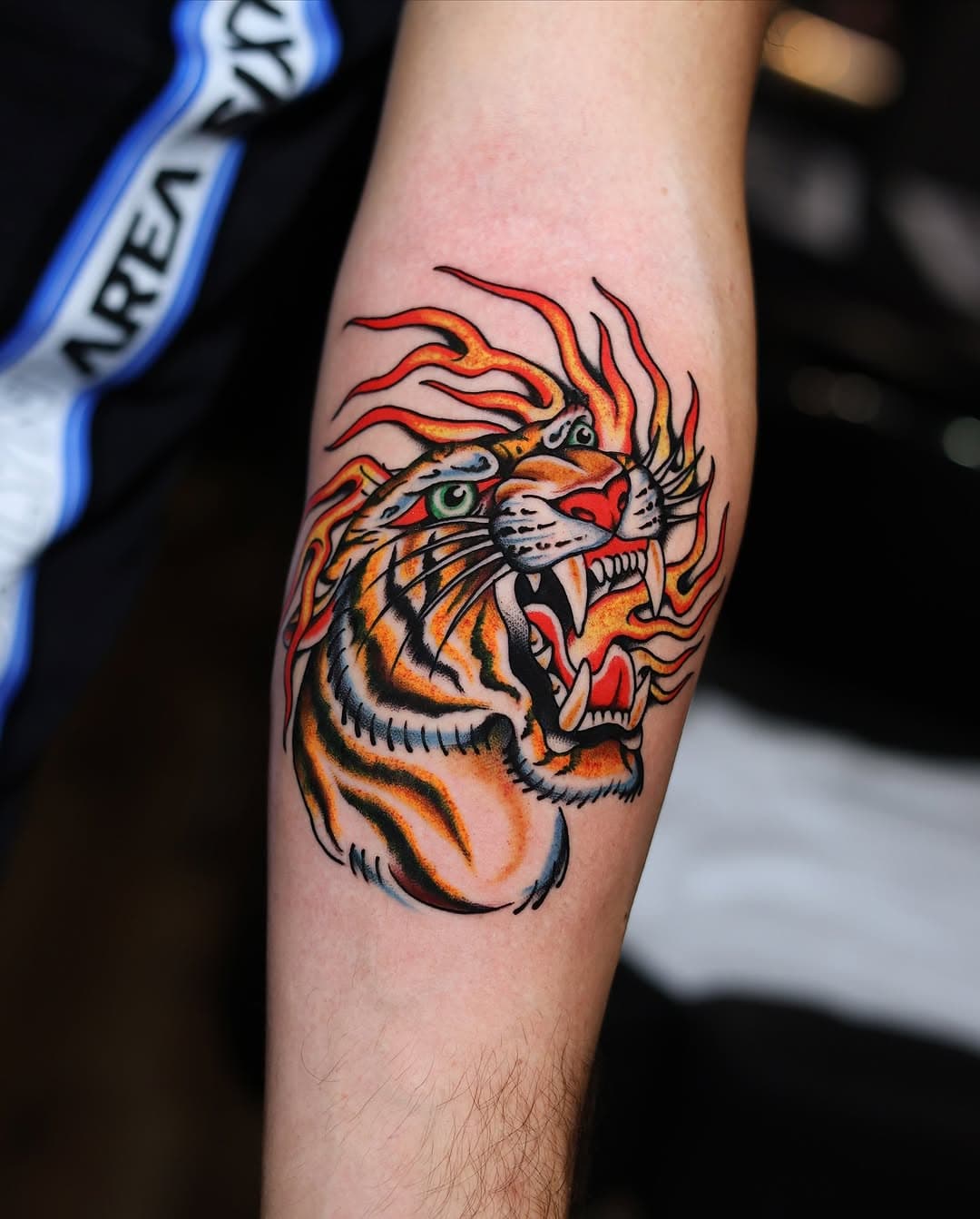 Tigrotto 🐯🔥 grazie mille Gabry! #traditionaltattoo #traditonalart
#traditional #tatuaggios #tattoo #tattoos #oldschooltattoo #tatuaggioitalia #classictattoos #blackworktattoo #spaintattoo #minimaltattoo #tradwork #classic #tattoosnob #skinartmag #skinart_traditional #topclasstattooing #traditionaltattoo #oldlines #tattoosnob #tiger #tigertattoo #eternalink #mothertattoo