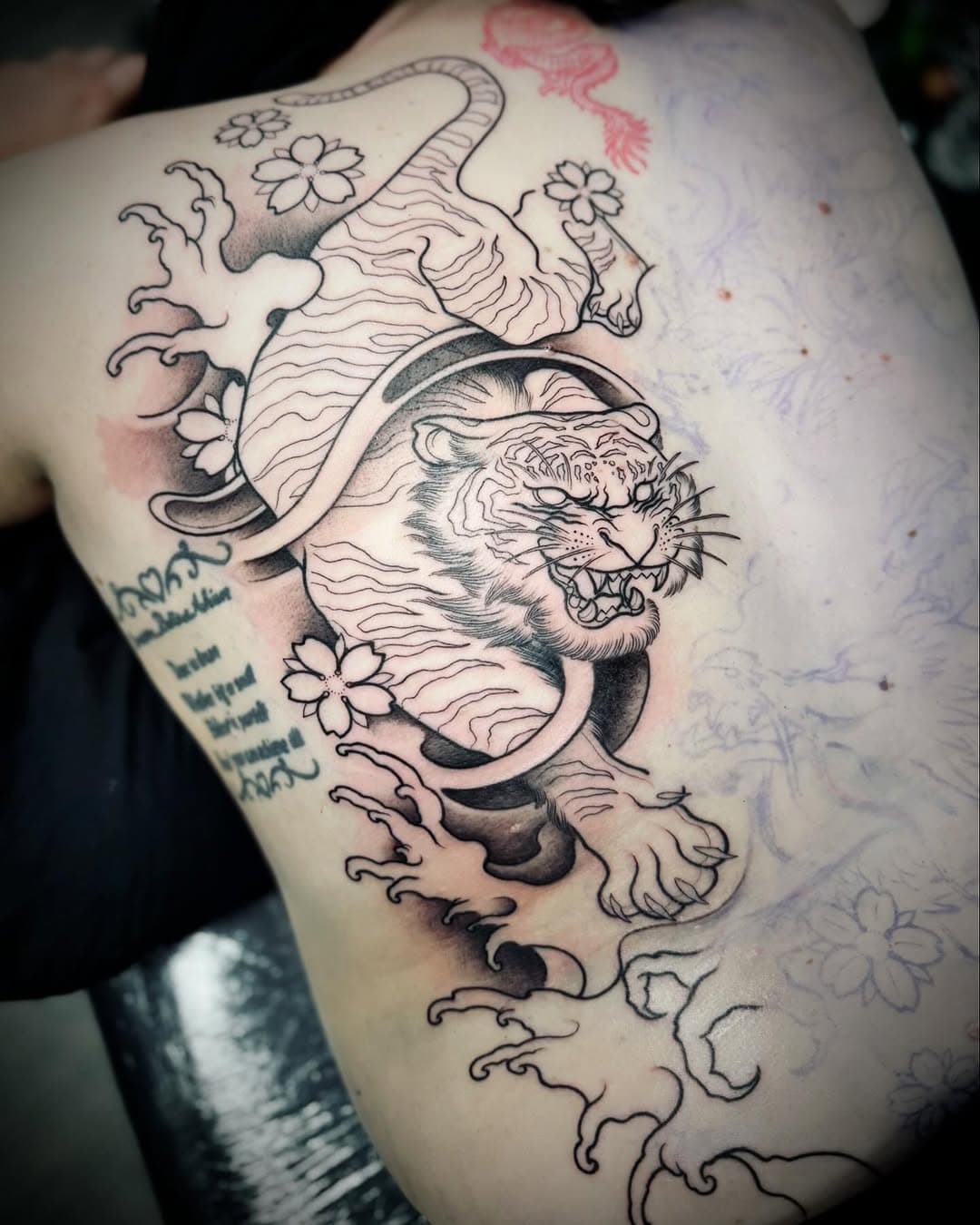 Crispy lines for @tonialchin this week. Starting this back piece… finally! Thank you and can’t wait for the next session. 🔥❤️🐅
Booking February and March now 
📧 contact@hachitattoo.com.au
.
.
.
.
#tattoo #tattooistartmag #inkedlife #tiger #irezumi #perthartist #inkedgirls #tattoodo #tattoostyle #wip #btattooing #neotradsub #traditionalart #finelinetattoo #tatuagem #linework #blackwork #tigertattoo #backtattoo #neosoul #tattoocollective #blackandgreytattoo #hachitattooperth