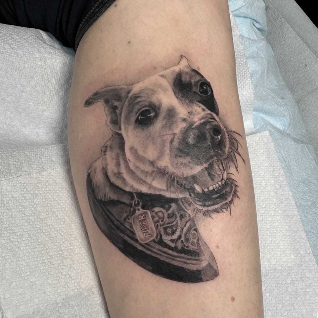 Sweet little baby piper 🤍 thanks Brittany, it was an honor ✨
Done at @allsaintsatx 
Booking tattoosbymuriella@gmail.com 
.
.
.
.
#dogportrait#dogtattoo#petportrait#pettattoo#blackandgreytattoo#finelinetattoo#austintattoo#atxtattoo#austintattooartist#atxtattooartist