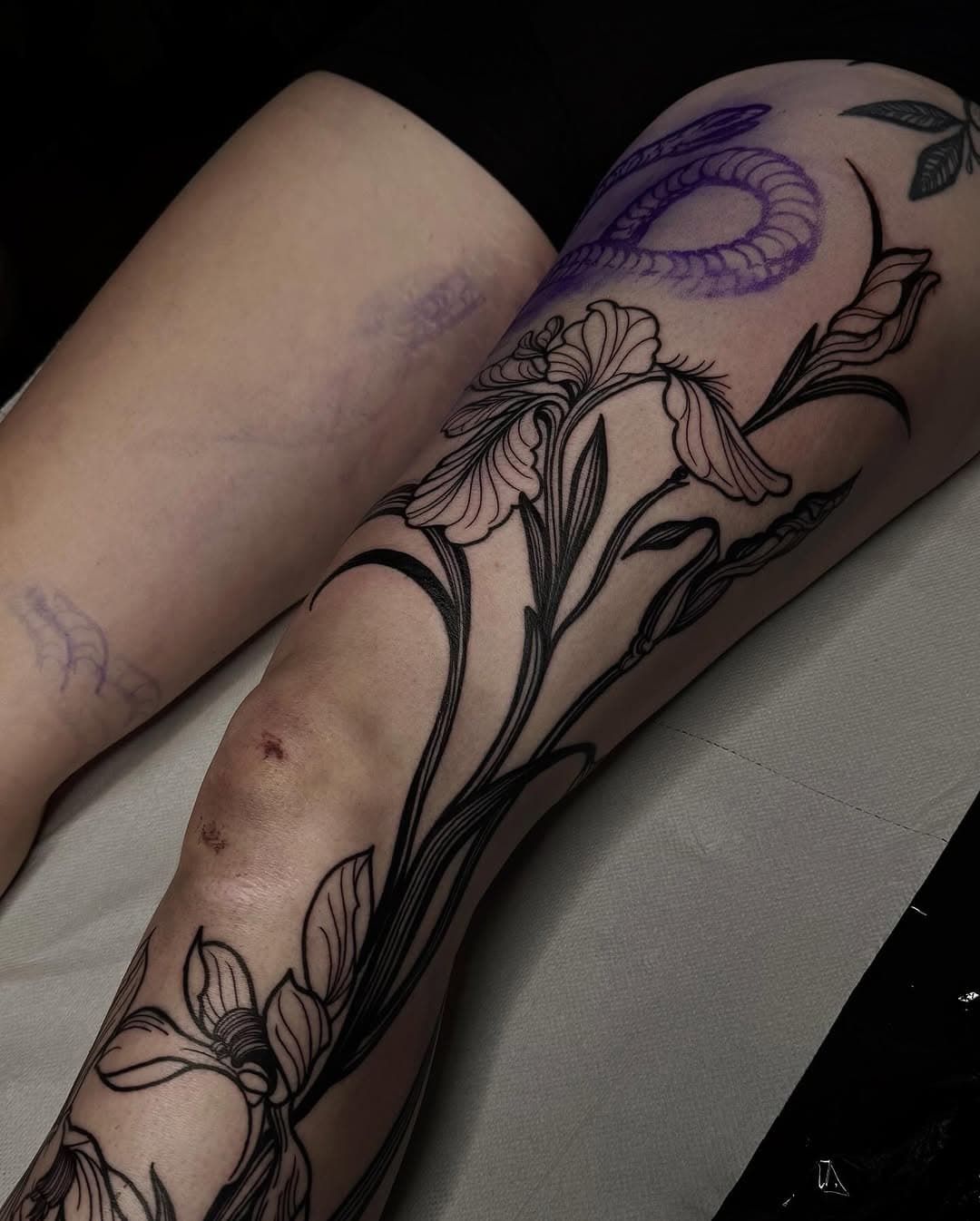 Can’t wait to see the final result of this double leg sleeve project 🫠

Done at @toivo.ttt 
With @mothertattoomachine 
………………………………………………………… 
Info & booking ovenmartina@gmail.com ✉️
•
•
•
•
#blackworker #blackworktattoo #blacksubmission #artesobscurae #occulttattoo #darkartists #onlythedarkest #onlyblackart #blxckink #qttr #tttism #blackworkitaly #vegan #blkttt #darkacademia  #lightacademia #blacktattoo #engravingtattoo #darktattoo #queertattoo #queertattooartist #lgbtq #botanicalillustration #engravingtattoos #medievaltattoo #medievalillustration