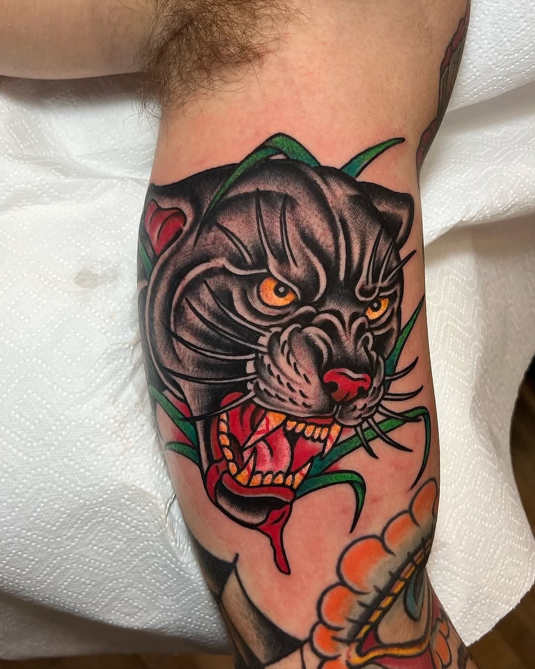 Aggressive panther done by our @francescogiamblanco 🔥🔥🔥
Don’t forget to set up an appointment for the upcoming season with Francesco!🤙🏻