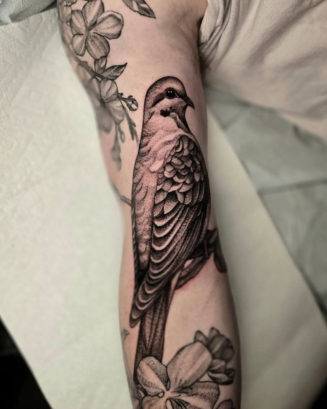 MOURNING DOVE BIRD TATTOO ✨ for Nick. This is part of a sleeve we are working on :) I am booking for APRIL and MAY 💖 DM me or contact @heartofheartstattooco to book with me! 
.
.
.
#tattoo #inked #dotwork #dotworktattoo #ladytattooers #njtattoo #nyctattoo #nyc #neotraditional #botanicalart