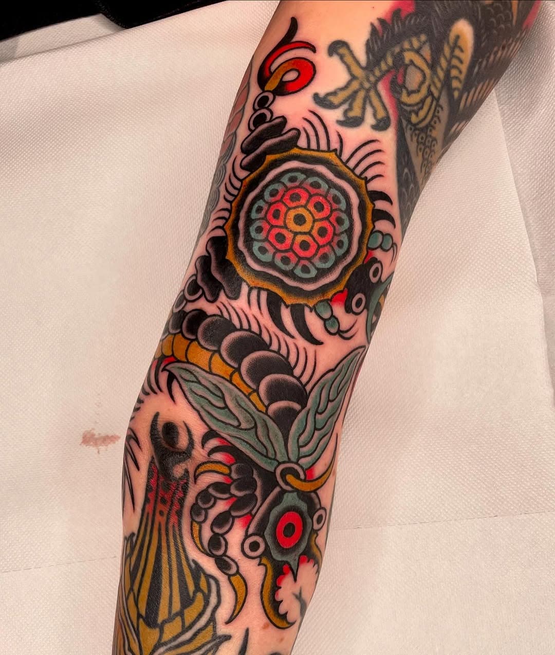 Filling gaps @trulyyourstattoo. Added these guys to Julias sleeve that we’ve been working on for a while. Thank you so much! #oldschooltattoo #traditionaltattoo #classictattooing