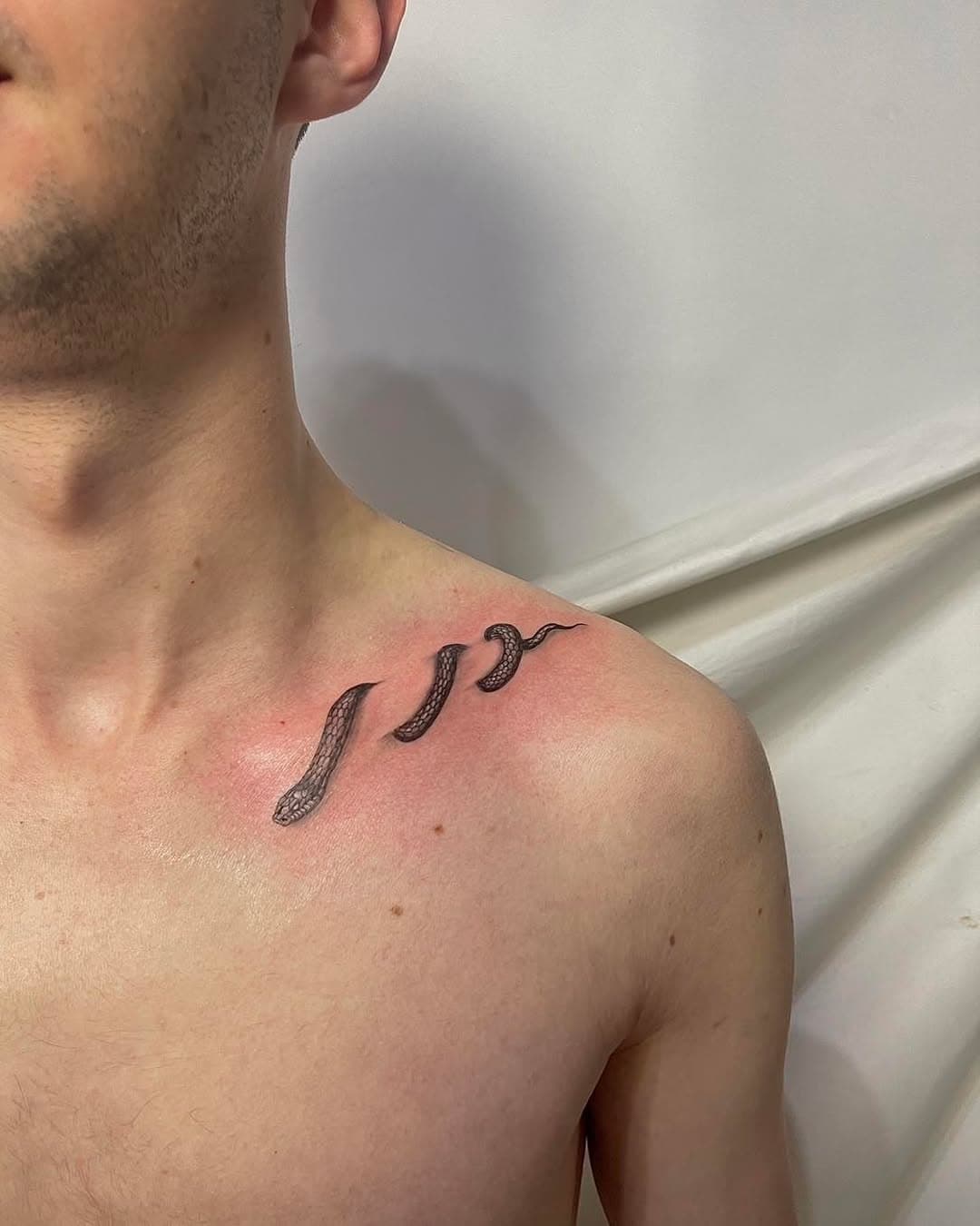 Snake Tattoo 🐍  Dots and Lines Tattoo Studio  Artist: Mara 

  #tattoo #tattooed #tattoos #tattooist #tattooart #tattooideas #tattooartist #tattoosnake #snaketattoo #tattoostyle #tattoodesign #snake #tattoolife #tattooinspiration