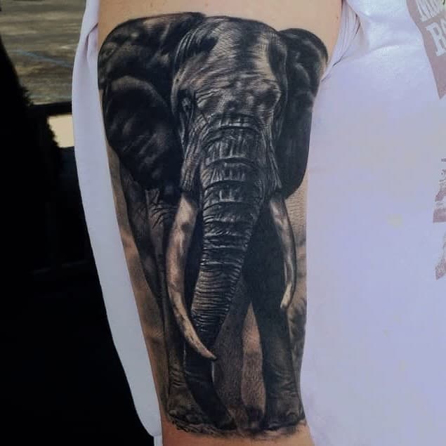 Healed elephant from about 6 years ago. Holding up great!!! If you would like to get Tattooed send an email to: arictaylortattoo@gmail.com with details of what you want. You can also D/M directly also! Thank you…🖤 @blackanchorworldwide @revolution__ink @anchored_stencil #elephant #inthewild #nature #blackandgreytattoo #blackanchorcollective #healedtattoo