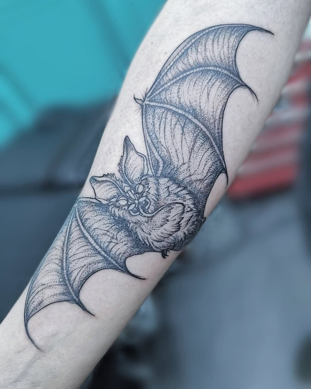 I’ve been looking through my phone and realized I still have so many tattoo pictures I haven’t posted yet. This one is actually from two years ago—how did I forget about it? I love bats in all shapes; they’re such cute creatures!
.
#bat #battattoo #cuteanimal #creepybutcute #lovebats #flyingrat #animaltattoo #inked #pet #creepy #fineline #finelinetattoo #lovetattooing #animaltattoo #2yearsold #battattoo #shadding #linework #creepysleeve #zinaink #tattoos #inkedpeople #lovetattoos #denhaag #netherlads #rotterdam #amsterdam