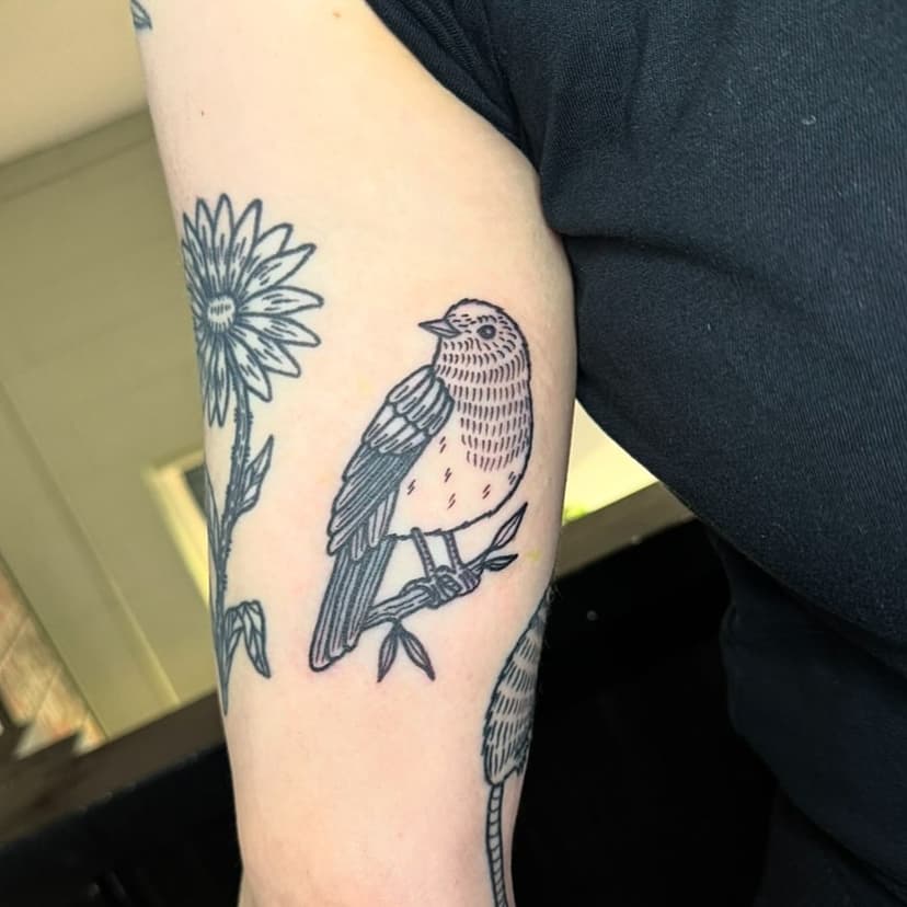 Little Robin for Hannah - thanks so much again!
Done at @untoldtattoo 🐦