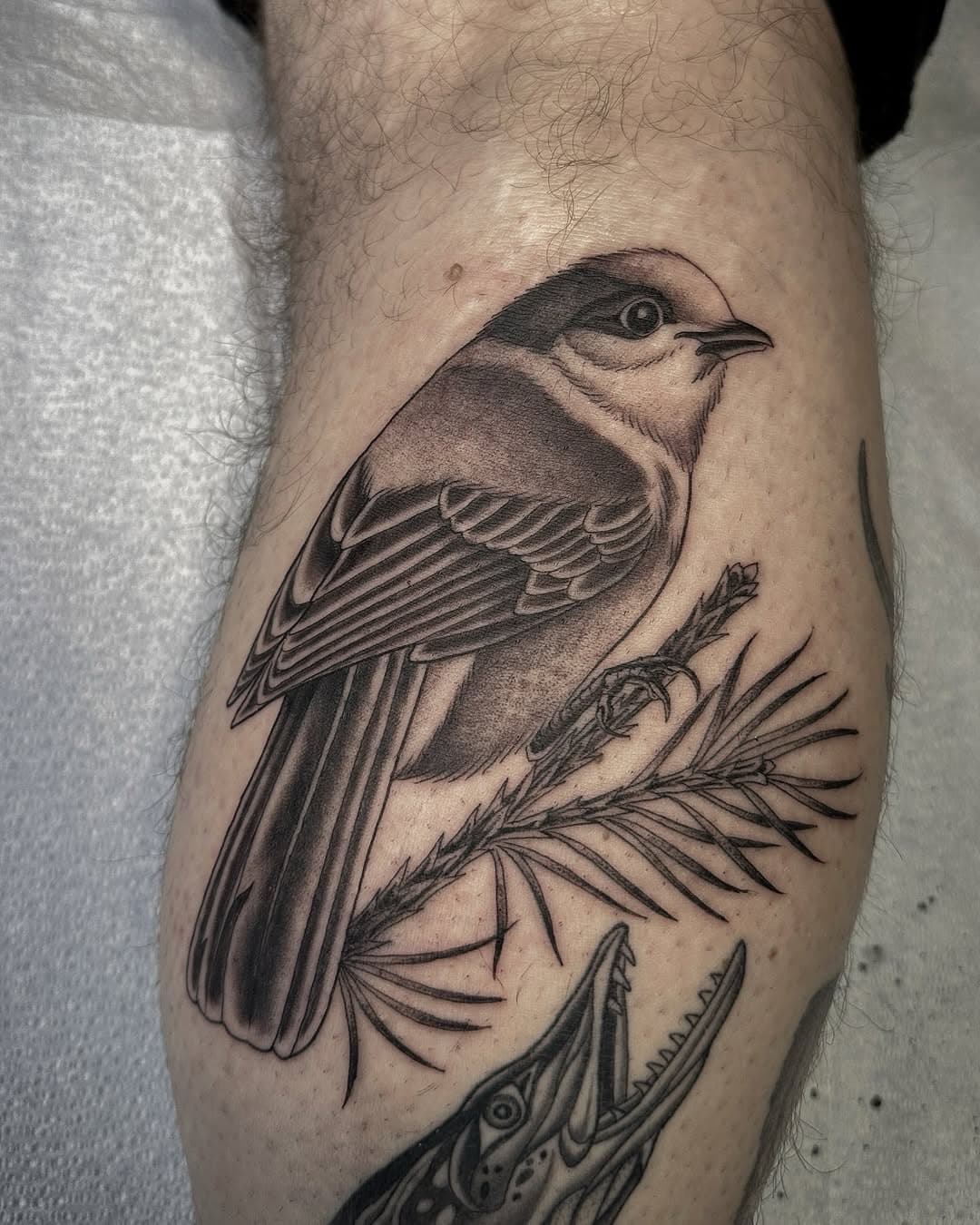 We added a grey jay to Chris’ Labrador critters leg yesterday. Scroll through for some of the healed pieces we’ve completed over the years.