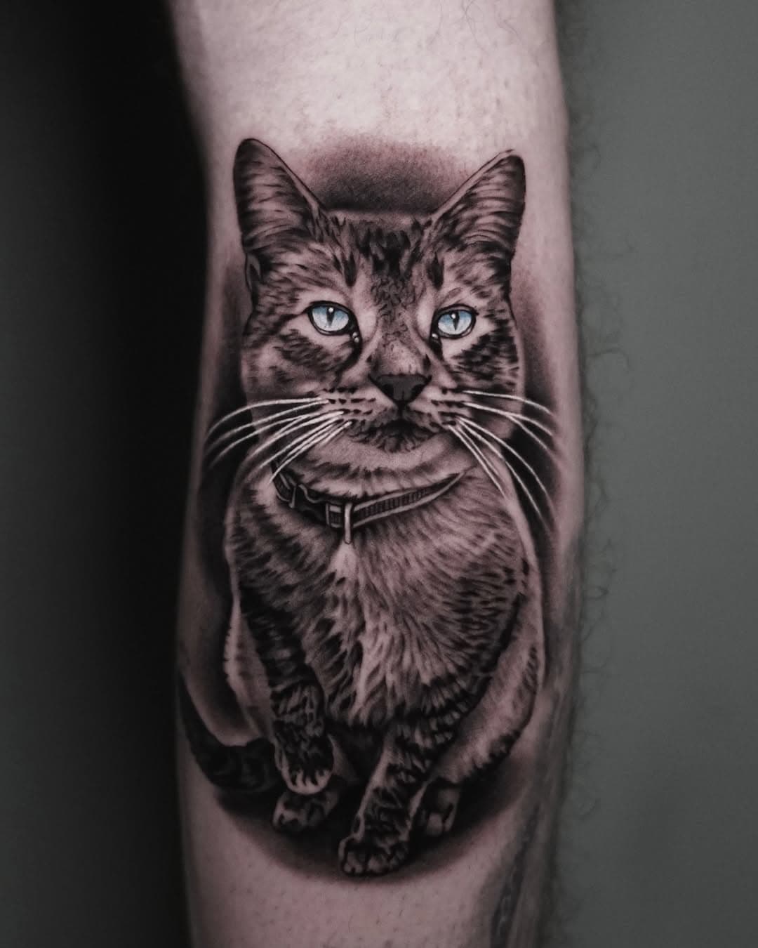 Gatete del otro día, gracias por la confianza una vez más. Nos vemos pronto.
#tattoo #ink #cordobatattoo #gato #cat #realistictattoo #art #artist #pezdelrio