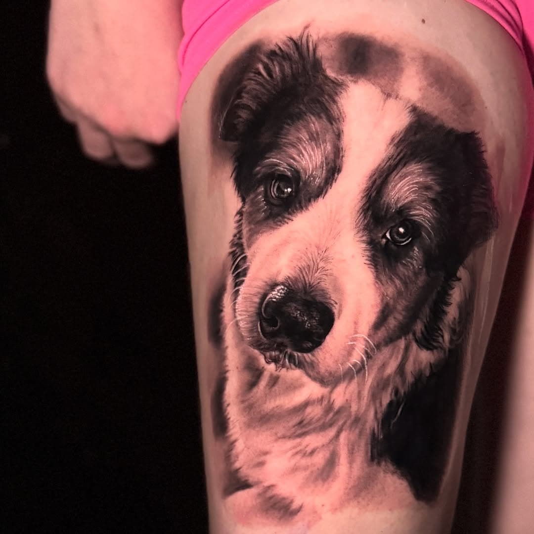 🐶🐶🐶
___________________________________
For all bookings, click the JotForm link in my bio!

Done @blackmarkettattooco 
Done using @killers.kings @intenzetattooink @fkirons @metrixtattoo @_numb_skulled 

#art #inked #tattoo #fkirons #intenzepride #fkirons #blackmarkettattooco #metrixneedles  #realistictattoo 
#killersandkingsproducts #realisticink #goldcoasttattoo #tattoogoldcoast #goldcoasttattooartist #blackandgreytattoo #realismtattoo