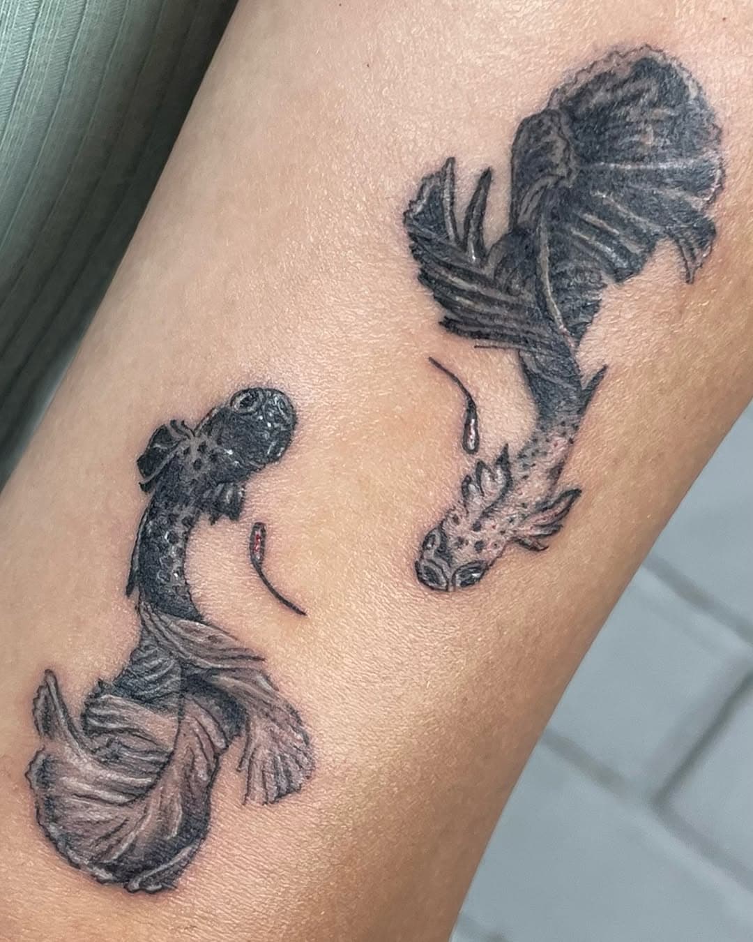 ✨ Peixinhos pra @itsnahlu ✨

Trouxe pra vocês alguns estáticos da tatuquinha que apareceu no último reels ☺️

A Ana queria fazer peixinhos, e pra completar essa arte super fofa usamos o conceito do yin-yang nas sombras e detalhes interiores, trazendo a representação da dualidade e equilíbrio.

Curtiu? Me chama na dm pra gente elaborar uma arte só sua 🫶🏻