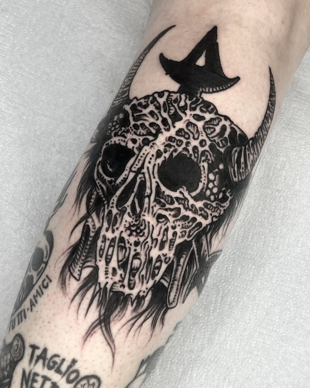 @boltthrower._  on @claudiofrag.ttt 
Done at @blackpanda_tattoo 2 weeks ago!