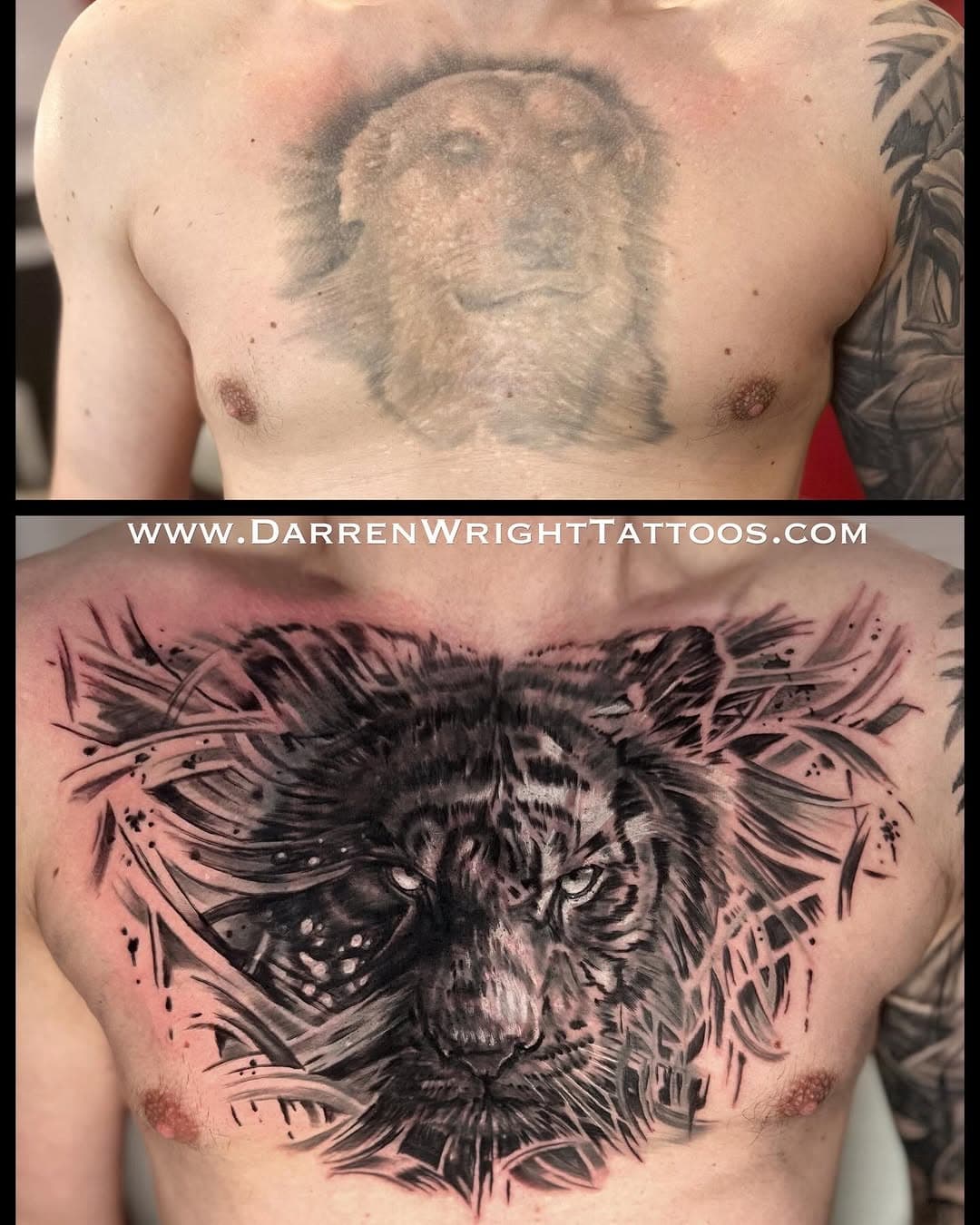 Todays tattoo. A cover up of an old tattoo with chest acne scarring. All done today in a single session. I enjoyed being able to do the tiger in a looser more painterly style with dramatic lighting