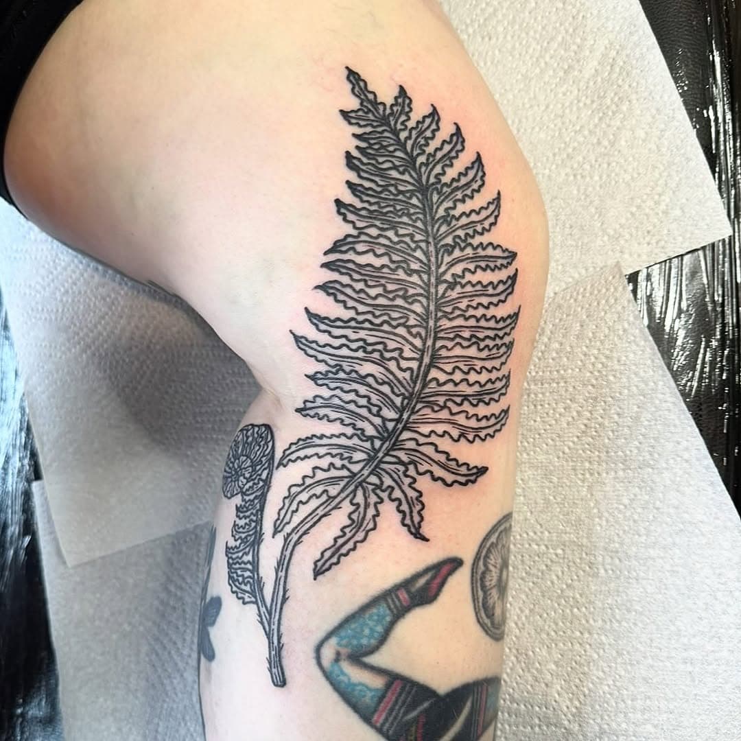 Side of the knee / back of the calf ferns for the super tough Molly! Thanks so much!
Done at @untoldtattoo 🍃