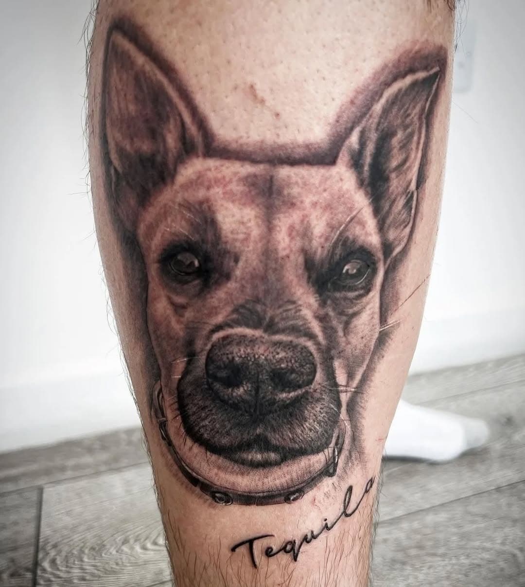 Cute pet portrait done by rob @rockyink 

#leg #legtattoo 
#legpiece #shin 
#shintattoo #dog 
#dogtattoo #portraits 
#portraittattoo #dogportrait 
#pet #pettattoo 
#mansbestfriend 
#blackandgrey 
#Harlow #Essex #Tattoos