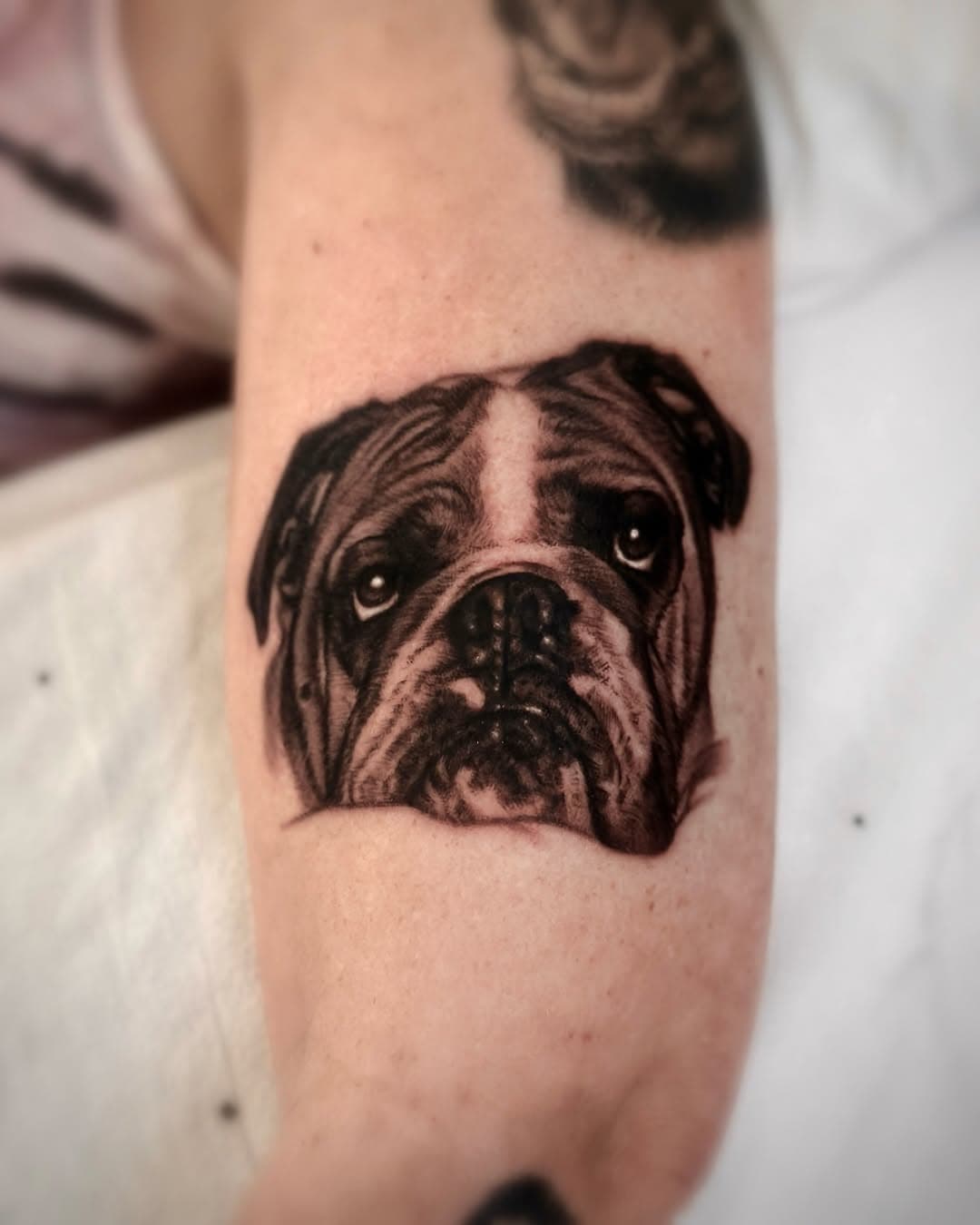 Submit your pet portrait inquiry at the link in my bio! Inquiries are reviewed monthly now!
Done at @adarkerpathtattoo with @allegoryink
.
#dog #dogtattoo #dogportrait #blackandgrey