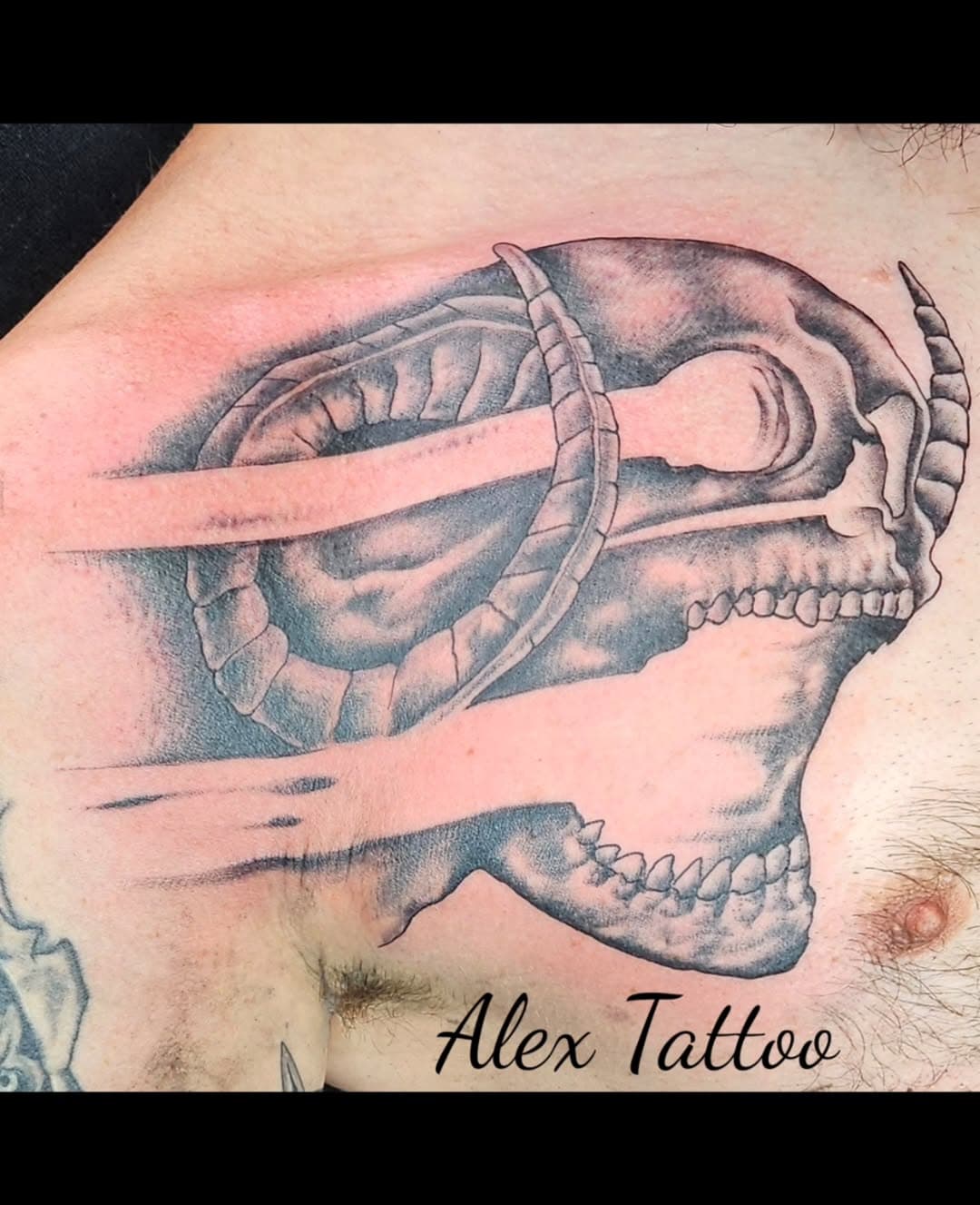 [v] #tattoo #alextattoopiercing #fuckcorona #tätowiert #tätowierung #mainburg #inkedman #inkedgirls #tattoofürfrauen #tattoolife #tattooideas #blackandgray #colortattoo#eternalink #tattoolove #tattooinspiration #amazingtattoo #ink #inked #tattooflash #tattooartist #animaltaoo #tattooart #mandalatattoo #blumentattoo #armtattoo #rückentattoo #tiertattoo