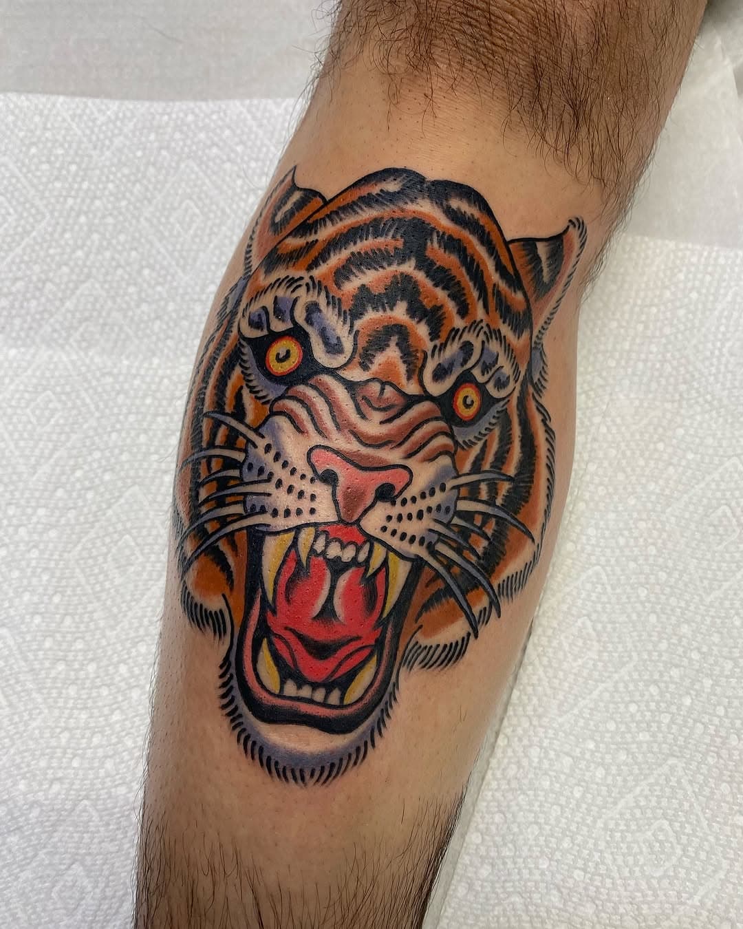 I have openings this week, call or email to book! 🐅🐅🐅