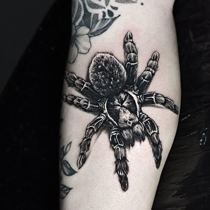 Cutie Spidy 🕷️

#tattoo #tatouage #tattoos #amienstattoo #realistictattoo #spider #inkstorymoreuil #stef_proton #amiens #art #blackandgreytattoo