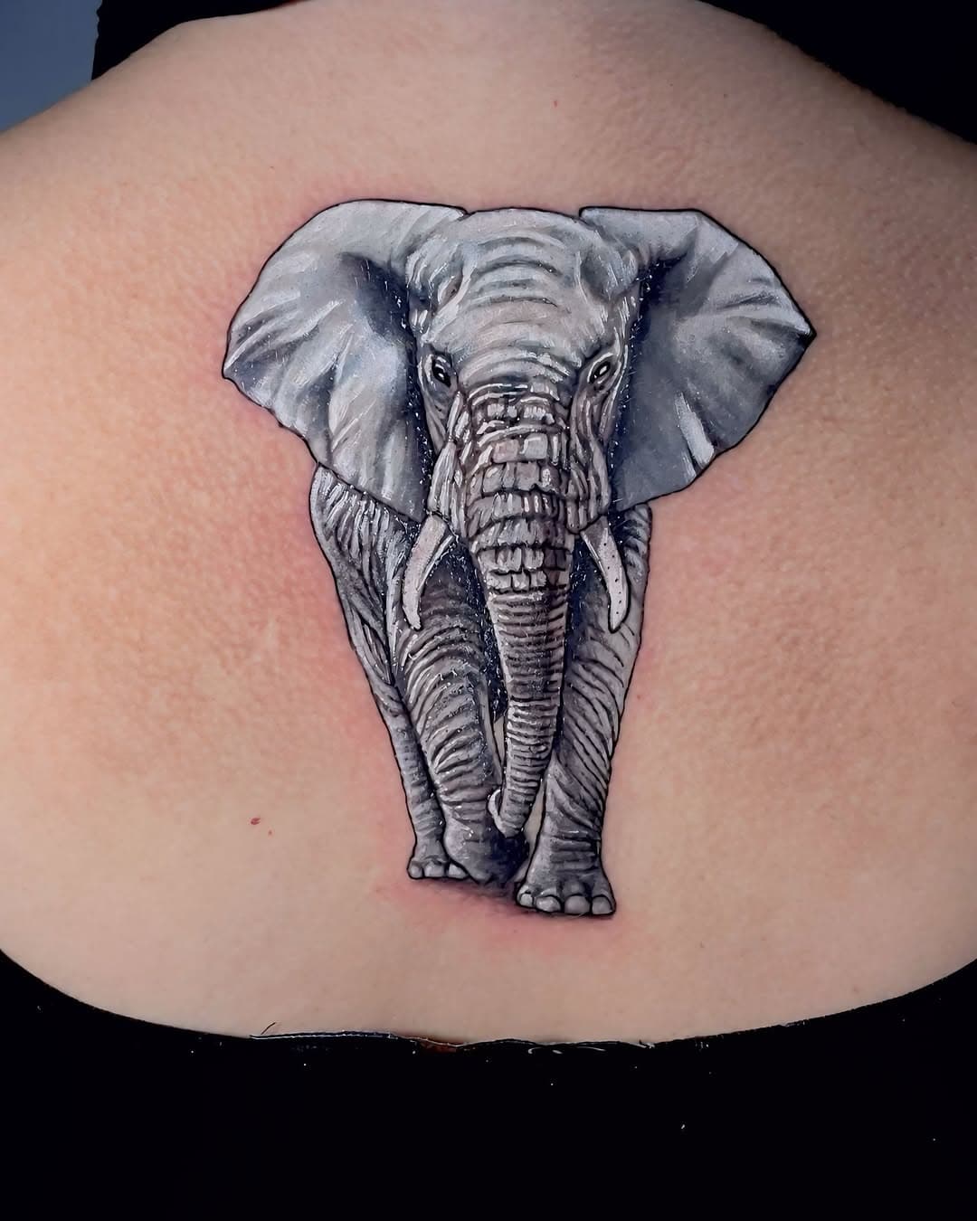 Sombra aplicada com pigmento cinza.
🐘 
🐘
🐘
🐘
🐘
🐘
🐘
#tattoopretoecinza #tattoopretoebranco #tattooanimal #tattooelefante #tattooanimals #tattooart #paulosantostattoo #santostattoohouse