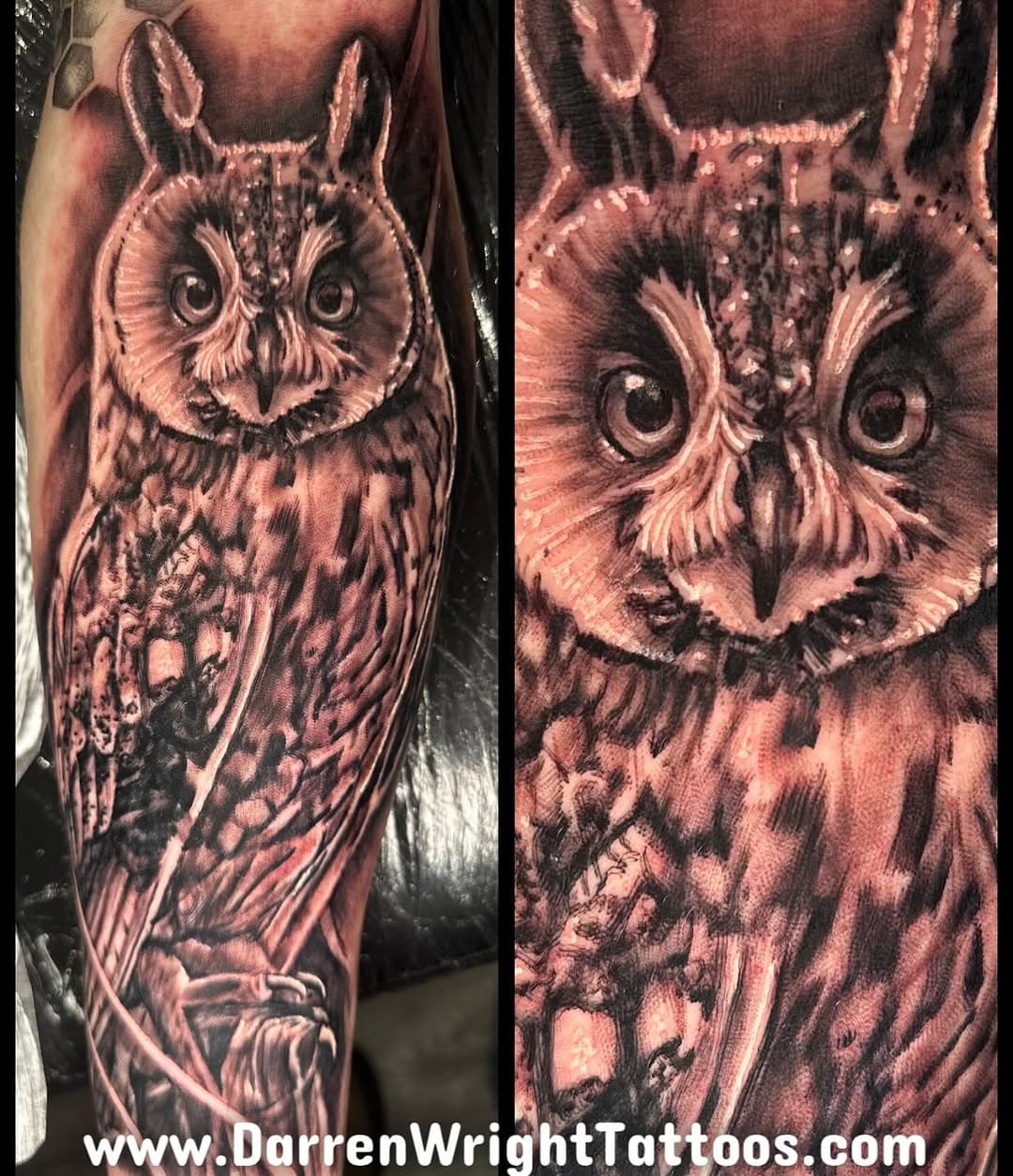 Todays inner forearm tattoo on Darren. A long eared owl. I love doing animal tattoos. Part of a nature based sleeve