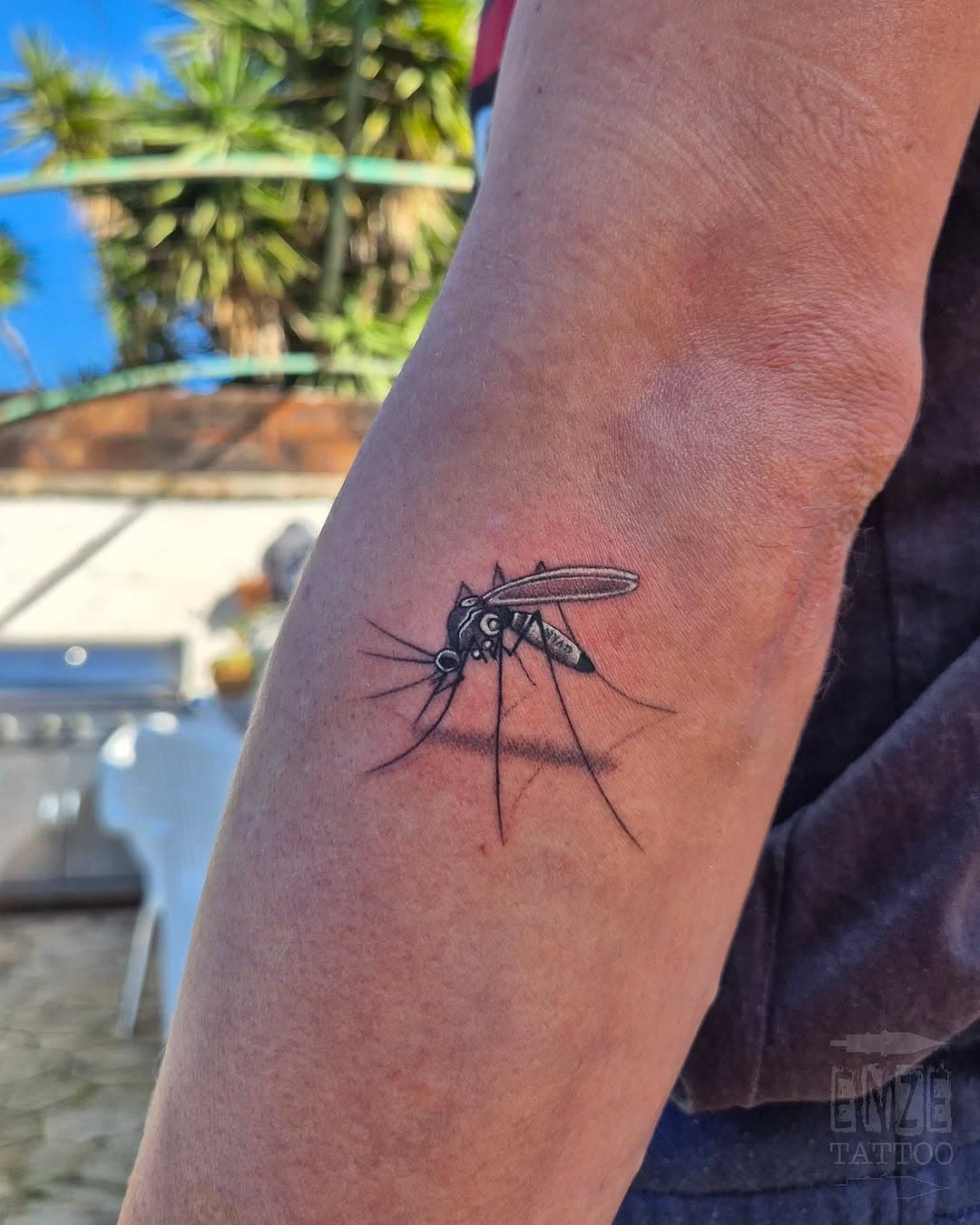 Only 3RL💉

#mallorca #mosquito #mosquitotattoo #majorca #mallorcatattoo #tattoo #tattoos #tattooed  #tattoolife #3rl #3rltattoo #only3rl