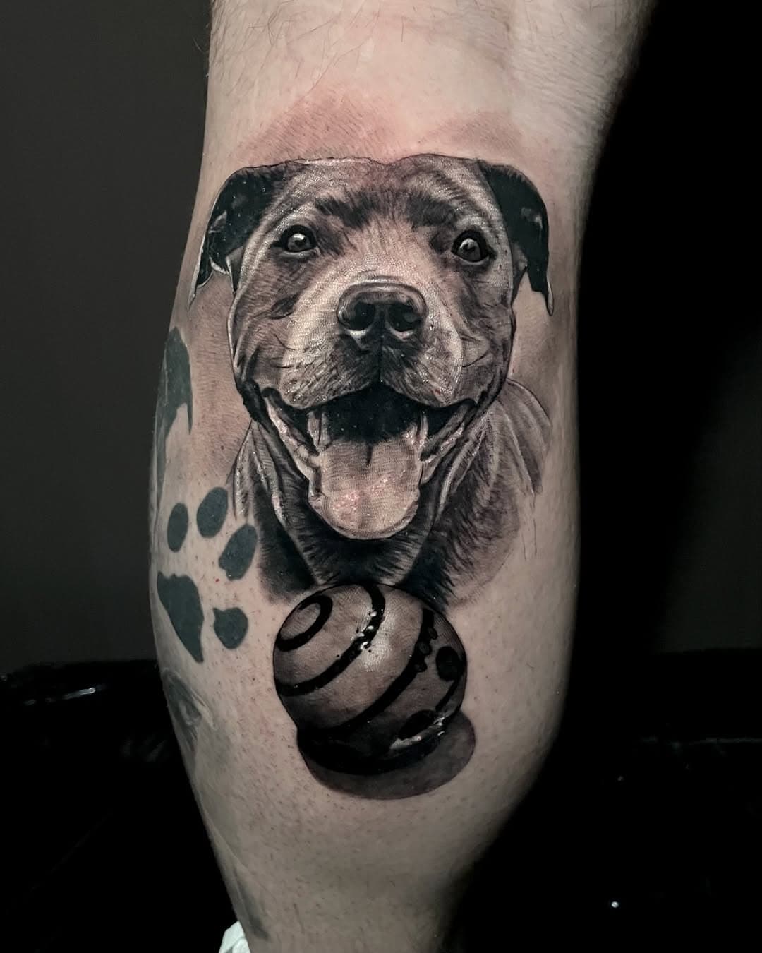 Dog portrait 🐶
.
.
Done with @biotat_ 
.
@theseancetattooparlor 
@westsidetattoo719 
@inked_nyc 
.
#dogportrait #dog #dogsofinstagram #dogoftheday #blackandgreytattoo #portraittattoo #biotat #tattoo #tattooist #realistictattoo #tek #tektattoo #hinckley #leicestertattoo #inkedgirls #anchoredstencil #bensalem #philadelphia #philly #phillytattoo #nyctattoo #nyctattooartist #nyc #coloradospringstattoo #losangelestattoo #losangelestattoo #california
.
.
@biotat_ 
@anchored_stencil 
@dynamiccolor 
@worldfamousink 
@fkirons
@ttechtattooneedles