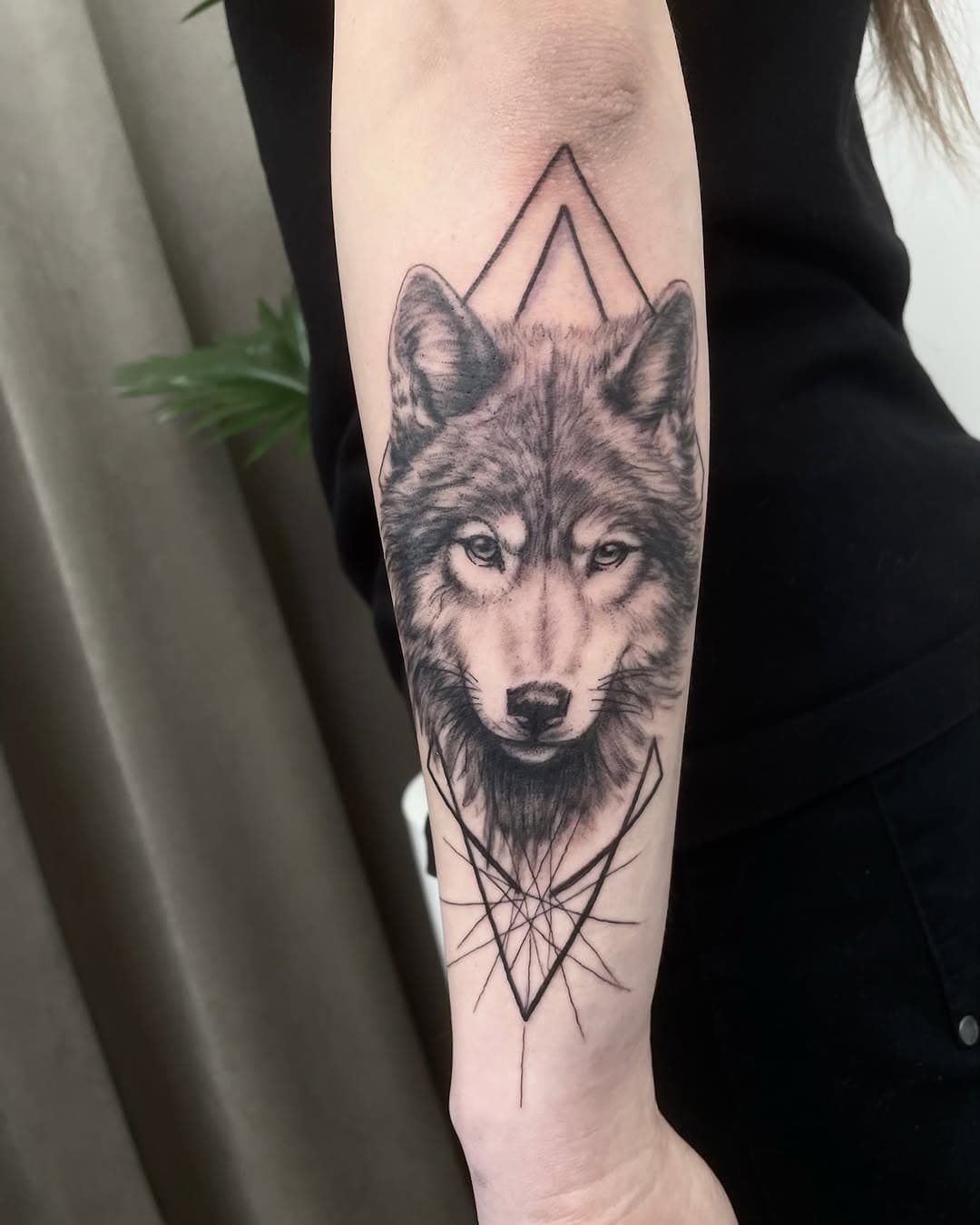 Jak wilk, to tylko u @wajdecki_tattoo 🔥  #wolftattoo #wilktatuaż #artlinepoznan #tatuazpoznan #poznantattoo #tatuazrealistyczny #czarnobialytatuaz #geometrictattoo