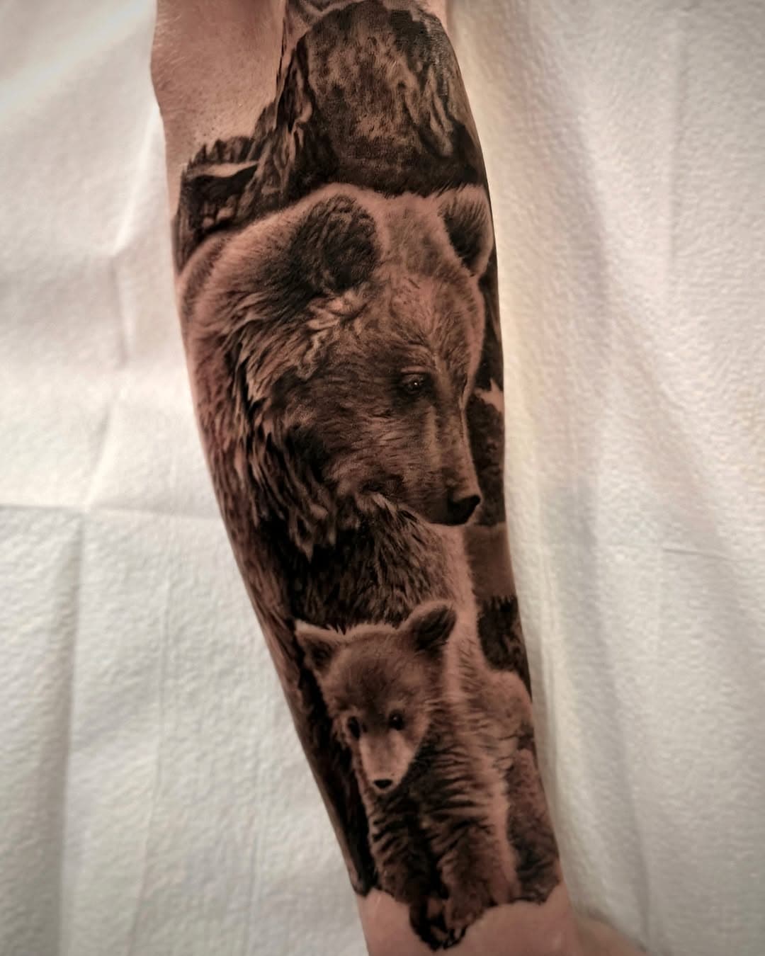 🐻🧸🗻Done at @adarkerpathtattoo with @allegoryink 
Submit your appointment request through the link in my bio. Requests are reviewed monthly!