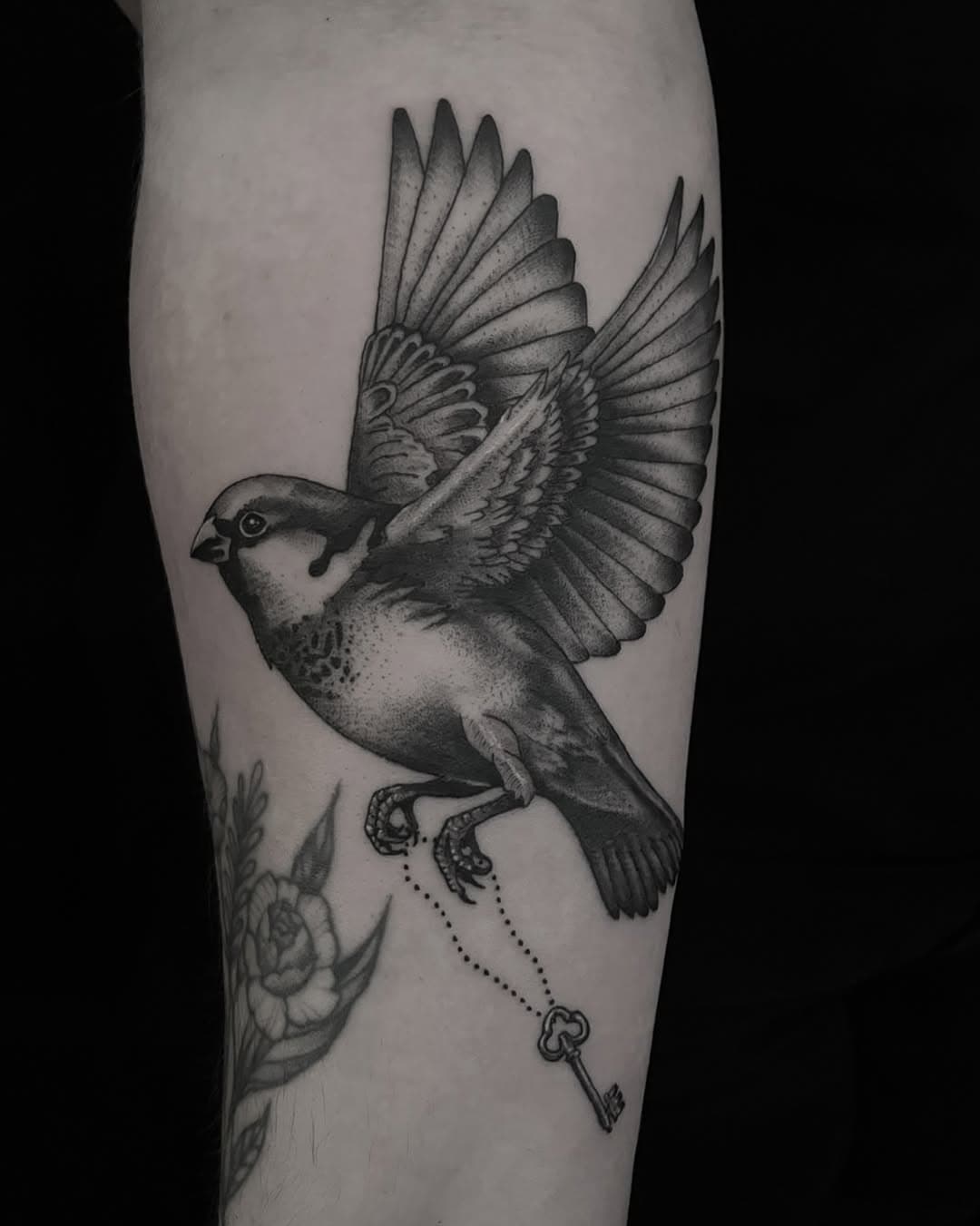 •thx

•

•

#tattoo #linework #blk #tattooideas #art #tattooartist #darkart #darkartists #darktattoo #evilart #blk #ttt #tttism #ink #inked #inkstagram #karlsruhe #berlin #tattooart #art #blackworkers #blackworktattoo #blackwork #catsbeerandblackmetal #birdtattoo