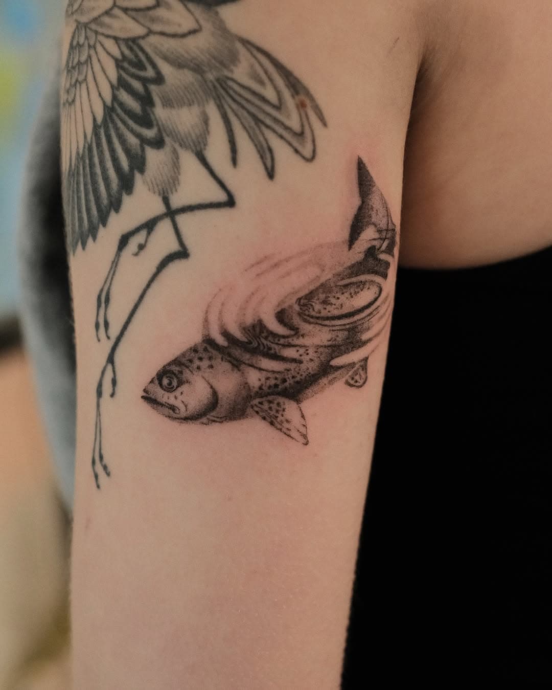 Fish underwater 🐟🐟🐟