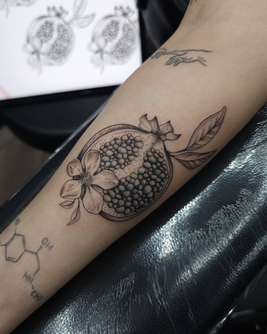 Incredible detail in this pomegranate illustration by Louis.