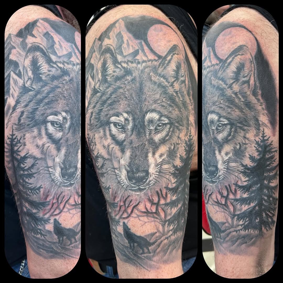 Touch up on the darker areas where he was bleeding on the last session . Rest is over a month healed . This was 2x 3hrs sessions