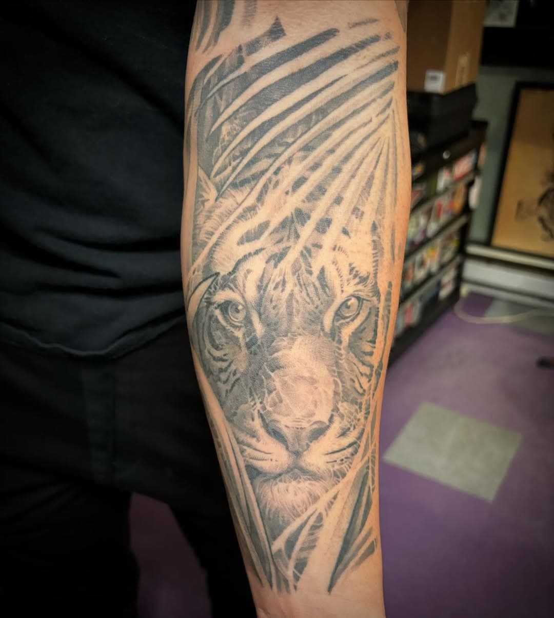 Check out this healed photo of a sweeeeet sweet tiger I did🤙🏻 fresh pictures are cool and all, but healed it what it looks like for real.  @skinart_healed @bishoprotary @healedtattoowork