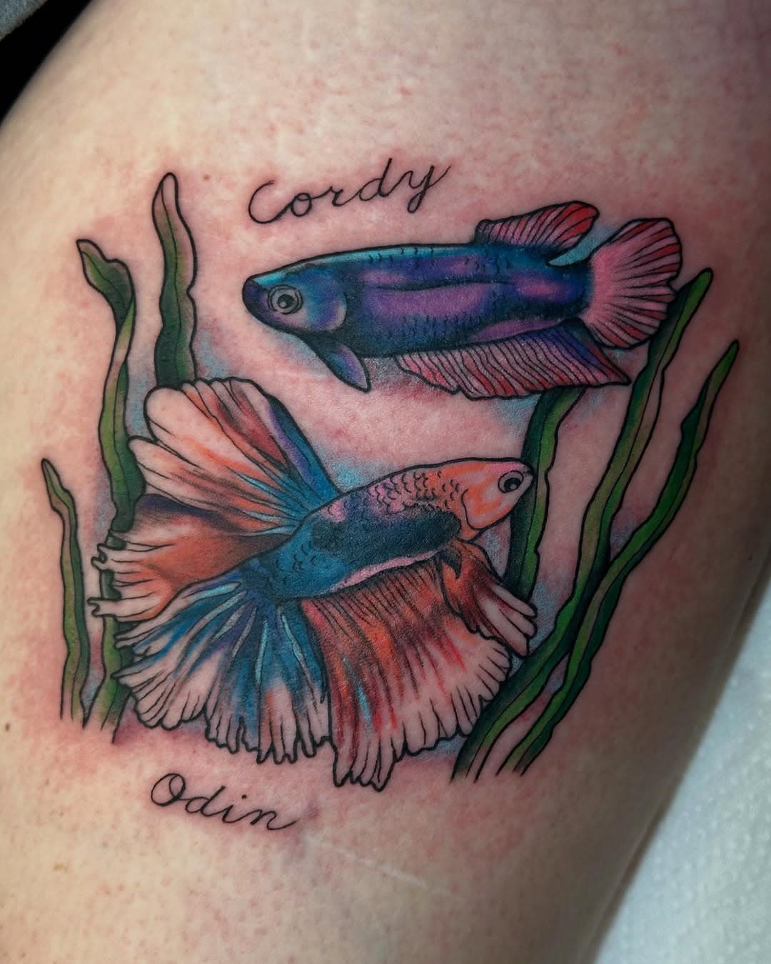 Fishies for Hayley today, thank you so much!! 🐠🖤 

#fishtattoo #betafishtattoo #aquatictattoo #tattooideas #tattoodesigns #tattoo #colourtattoo #neotraditionaltattoo #tattooartist #femaletattooartist #southport