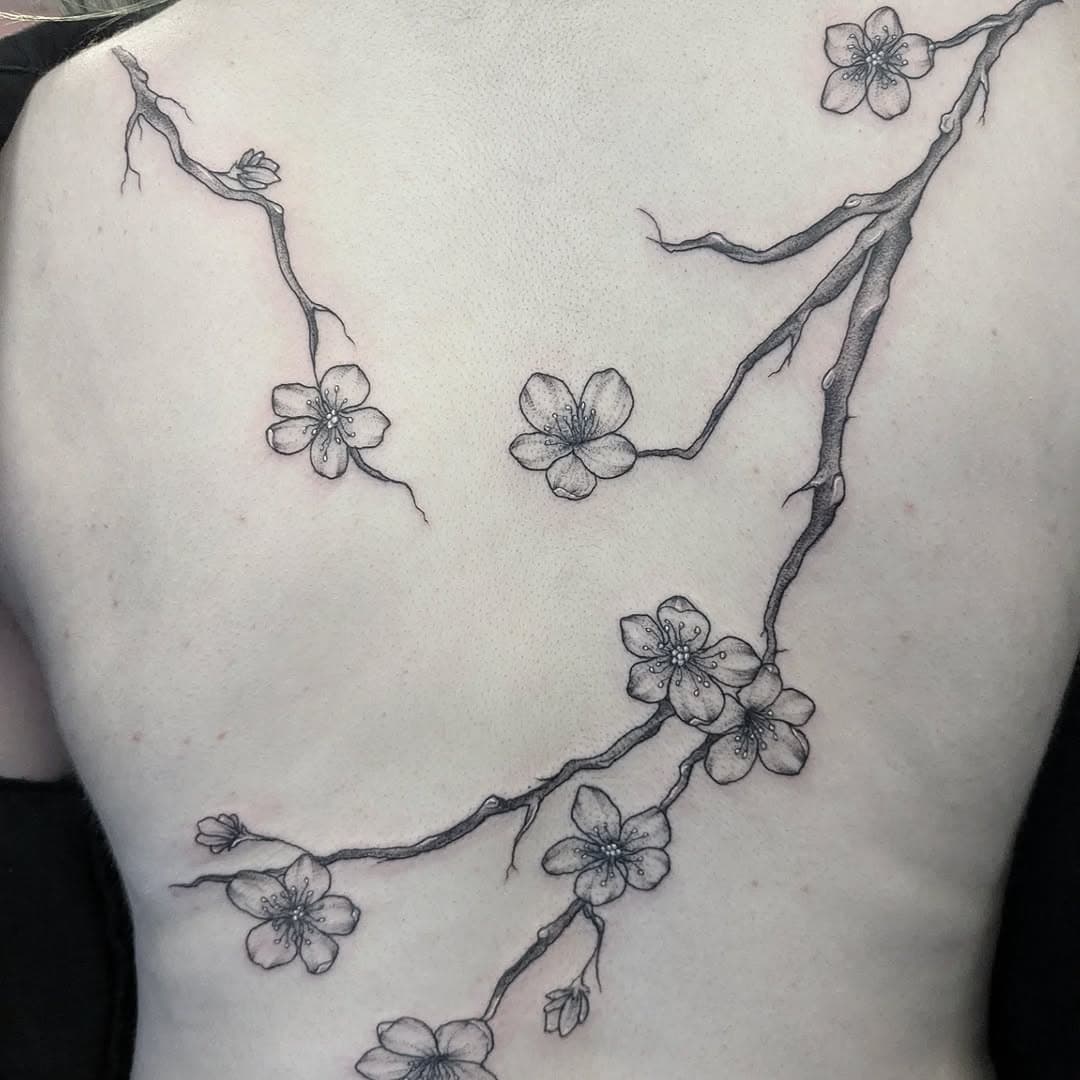 Had the most fun doing this big cherry blossom back piece the other day for the lovely Summer! 🌸 We had such a fun day and are already thinking of adding some more to this! Swipe for pics as I obviously couldn't just get one good one 🫠

#juniortattooartist  #tattooflash #tattooflashsheet #availableflash #availabletattoo #tattoodesign #flashday #blackandgreytattoo #stippletattoo #dotworktattoo #finelinetattoo #tattoo #tattooing #femaletattooartist #instagood #tattoosofinstagram #doncastertattoo #yorkshiretattoo#funtattoo #floraltattoo
#leafytattoo #naturetattoo #delicatetattoo #whimsicaltattoo #cherryblossom #cherryblossomtattoo