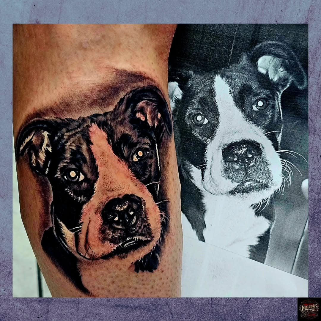 @frankgenovesetattoo just finished his first pet portrait for his awesome $500 portrait special this February! Shoot an email to frankgenovesetattoo@gmail.com to snag this sweet deal. There are only a few spots available! You'll need to put down a $200 deposit when you book, but don't worry. It goes towards your tattoo. Check out Frank's portfolio through the link above in our bio ⬆️!
#fyp #fypviral #feature #tattooartist #smallbiz #businessowner #smallbusinessbigdreams #tattoo #tattoos #tattooideas #tattoodesign #tattooart #tattooshop #tattoostudio #artist #art #appointmentsavailable #booknow #portrait #portraittattoo #special #deals #support #dogs #dogsofinstagram #love #Pennsylvania #LikeFollowShare