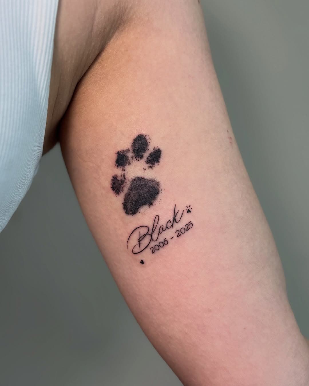 Homenagem pro pet ❤️
Se você sente esse amor que vai além das palavras e quer eternizá-lo na pele, clique no link da bio e deixe comigo essa homenagem especial! 🐾
.

..
#tattoo #tattooink #tatuagem #tatuaje #ink #inked #inkedup #art #artenapele #cute #me #love #drawing #draw #tocantins #palmas #palmastocantins #tatuadorempalmas #instansize #inspiration  #brasil #finelinetattoo #suhtattoo #pettattoo