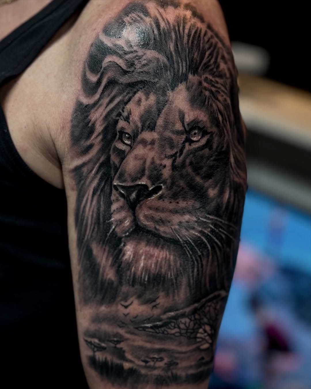 #lion #liontattoo #armtattoo #blackandgreytattoo #strong #lifestyle #freedom #love #art #whosnexttattoostudio #herrenberg #böblingen #sindelfingen #tübingen #cs #tattoo #tattoos