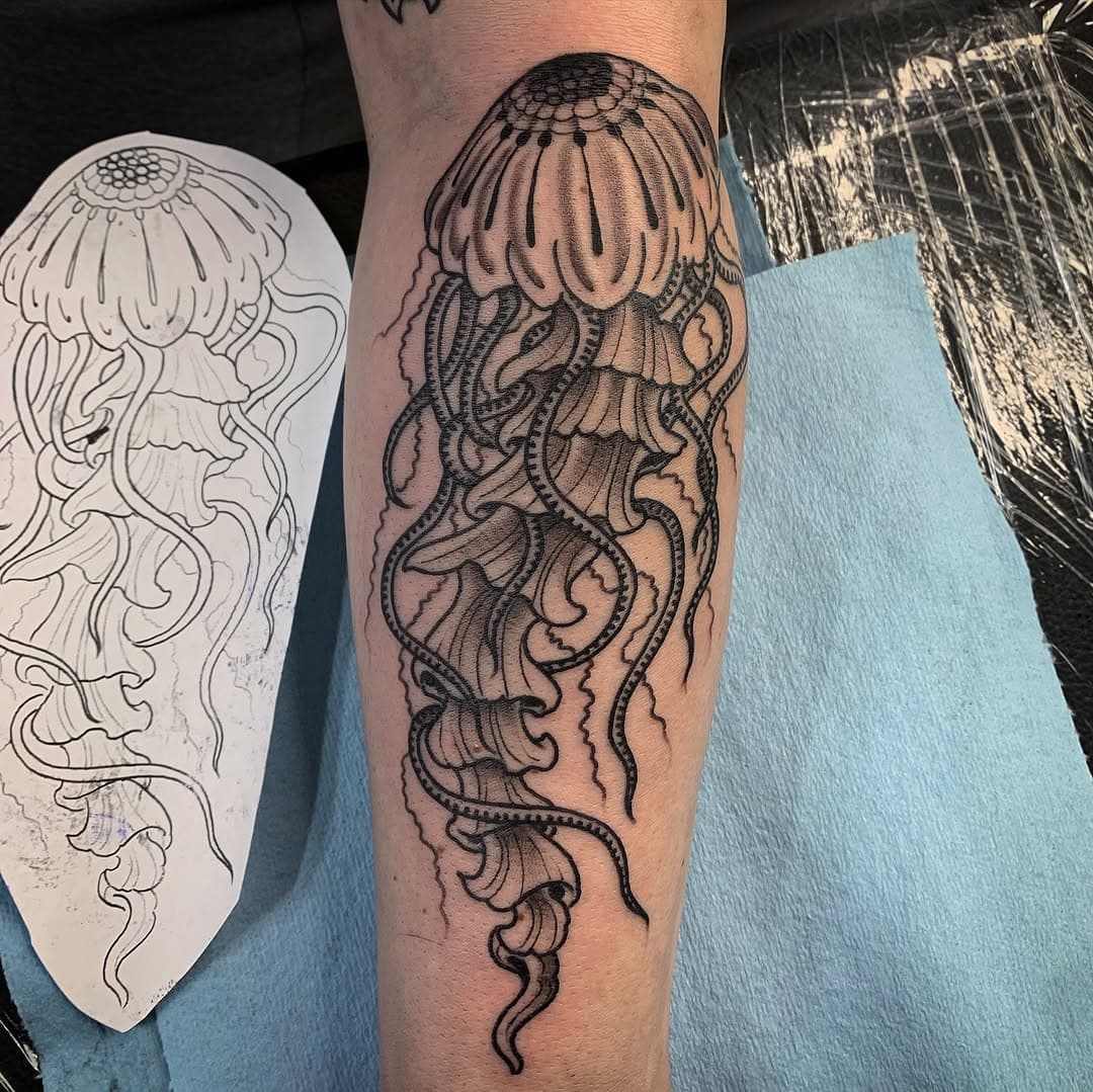 Jellyfish and a healed hooter, enjoy