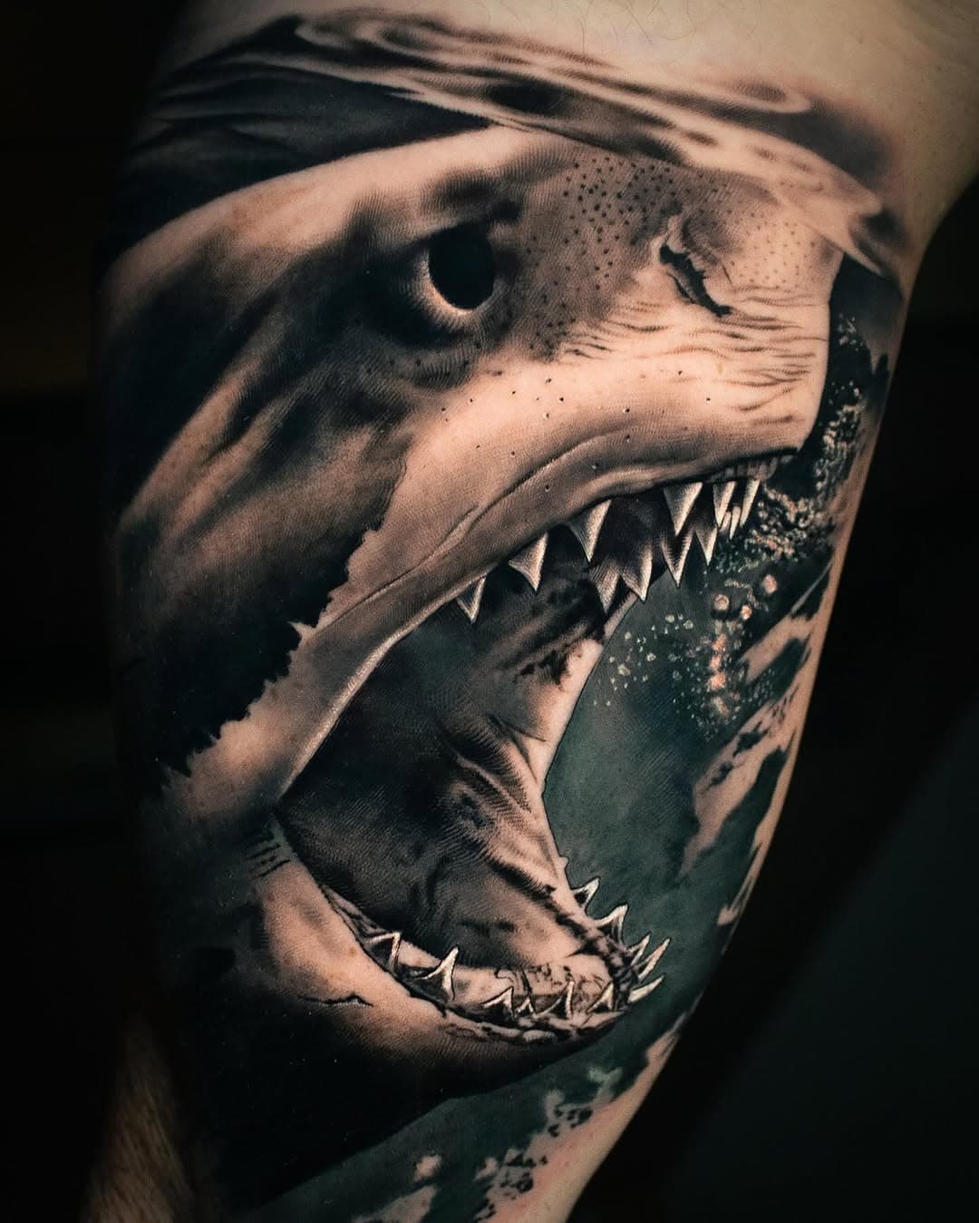 L’interieur du biceps, c’est plutot douloureux, mais super adéquat pour un tatouage !
Ce requin m’a pris la journée, que du bonheur 😇
____________
Artist @jeremybertintattoo 
Member of @timelessartcrew 
Sponsor @probodysupply 
____________
#tattoo #realistictattoo #shark #ocean #photography