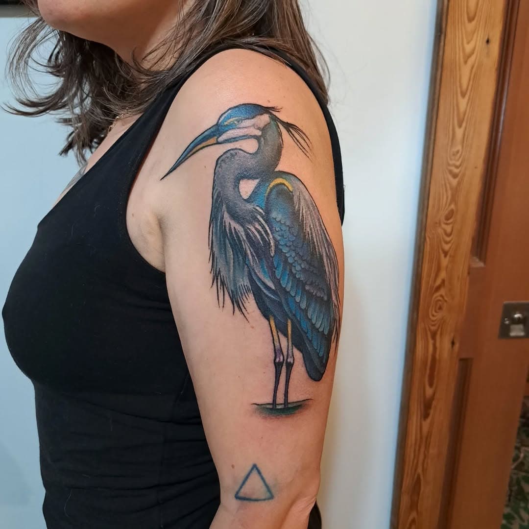 Had a great 2 days with Erin and Julia...herons, matching huckleberry tattoos and seeing them with the animals. Never a dull moment. #huckleberry #Heron #art #tattoo #goodtimes #minidonkeys #irishwolfhounds #color #loyaltothecoil #colortattoo #visit #friends #thefarm #bolivianc #artfuel #artfuelinc