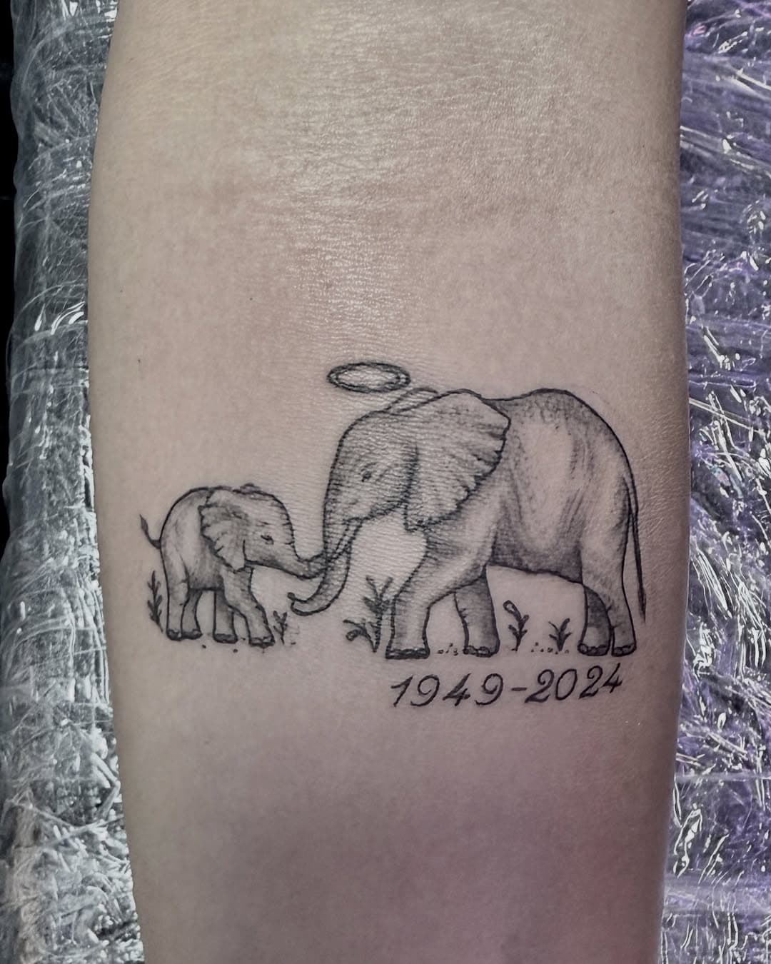 A little memorial piece! 🐘 
#tattoo #tattoos #minimaltattoo #tattooartist #sanantonio #tattooshop #tattoostudio ##tattooist #elephant #elephanttattoo #realim #linework #finelinetattoo #tattooideas #tattoomodel #ink #inked #tattooart #tattooing