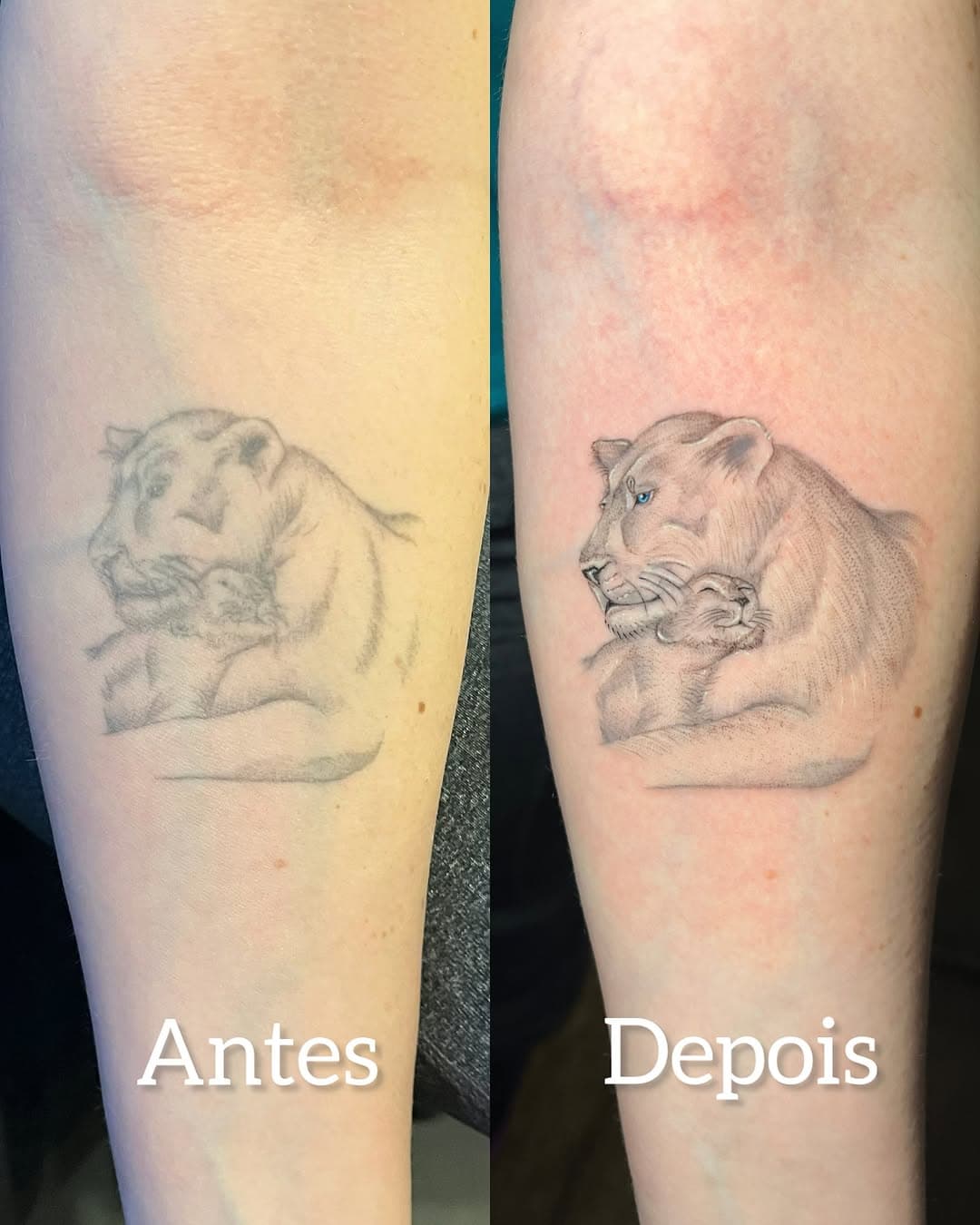 Reforma 🦁

Envie seu projeto pelo 
Whats (11) 95318-0130 (link na bio)

Será um prazer eternizar sua arte 🎨

Estúdio Náutica Tattoo Premium 🇧🇷🇺🇸🇫🇷

#tatuagem #tattoo #tattoos #tatuagemfeminina #tattooartist #tatuagemmasculina  #tatuageminspiradora #nauticatattoo #tattoosp #traçofino #instatattoo #minitattoos #tatuagemdelicada #analiafranco #jdanaliafranco #tatuagensfemininas #nauticatattooteam #tattooideias #saopaulo #sp #fineline #leoatattoo