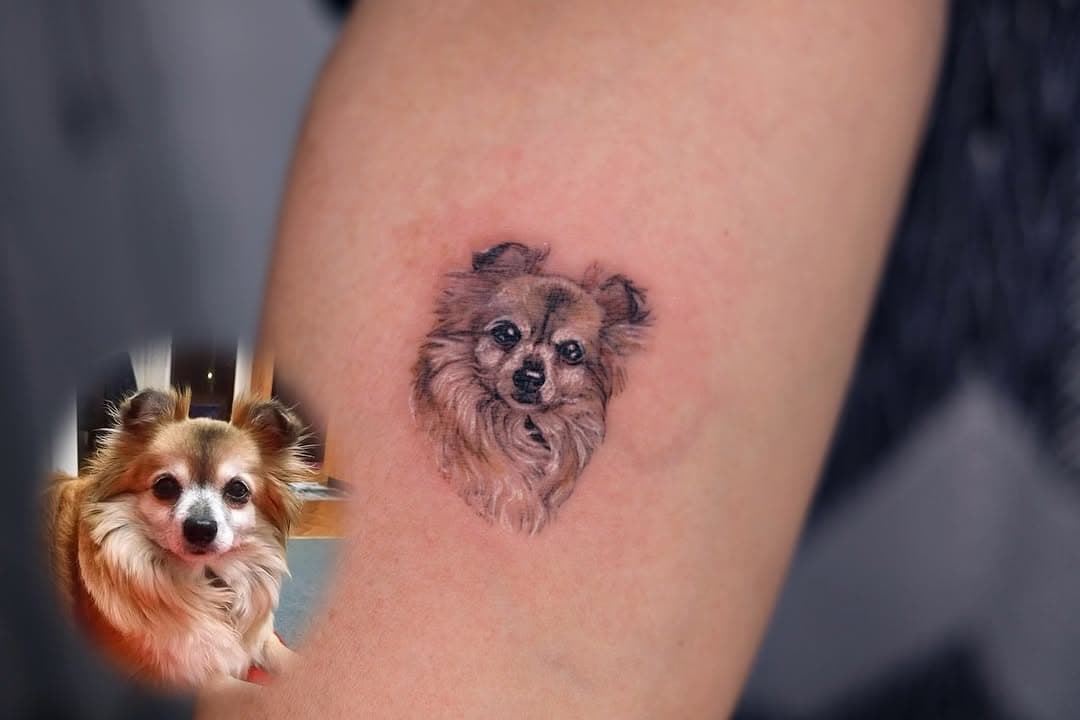 Dog portrait /color/ 4cm