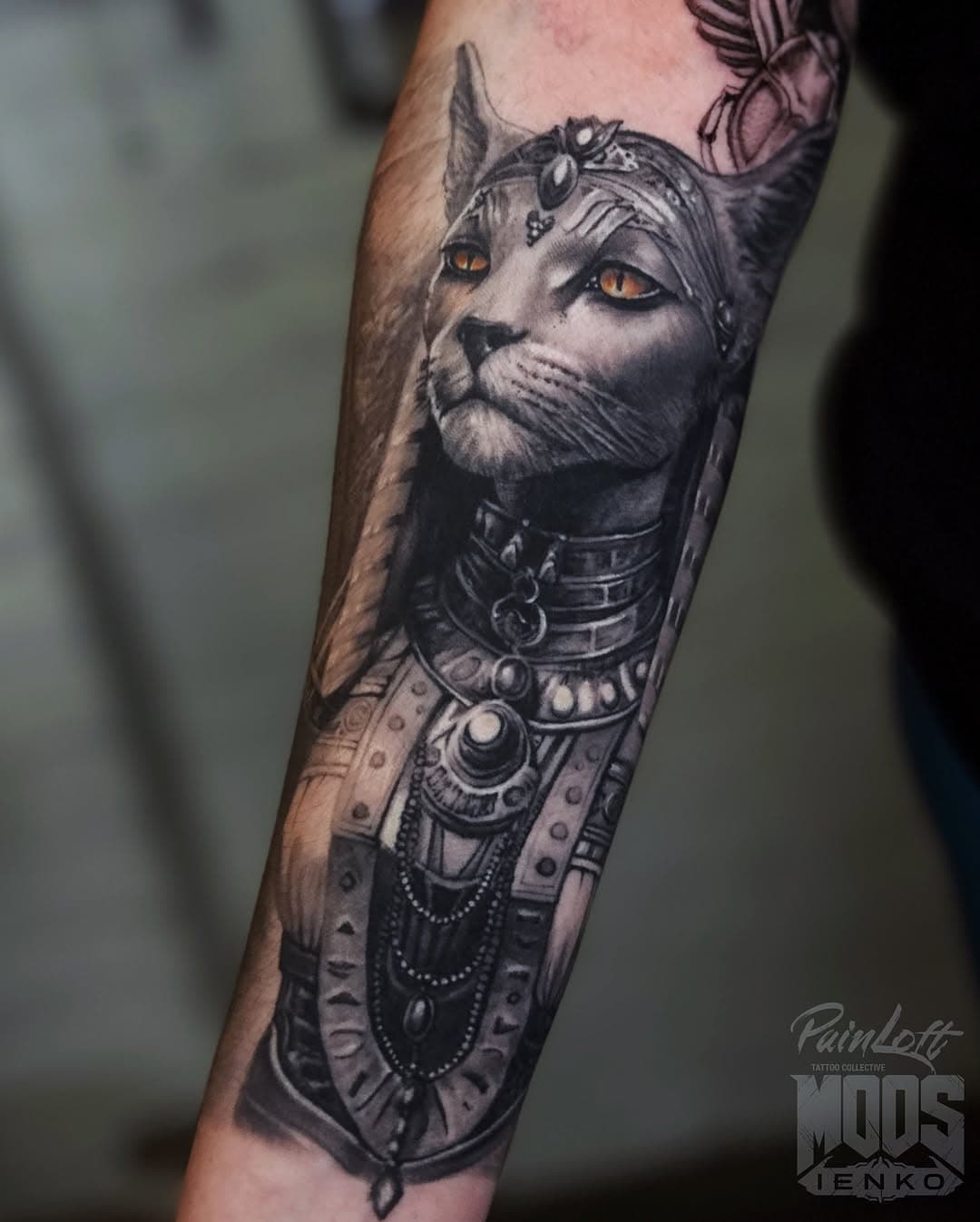 Зажившая Бася у Софьи 😼 #painloft #nocturnalink #mustpro #healingruna #bastettattoo #bastet #egypttattoo #egyptgod #blackandgreytattoo #tver #tvertattoo #тверь #тверьтату