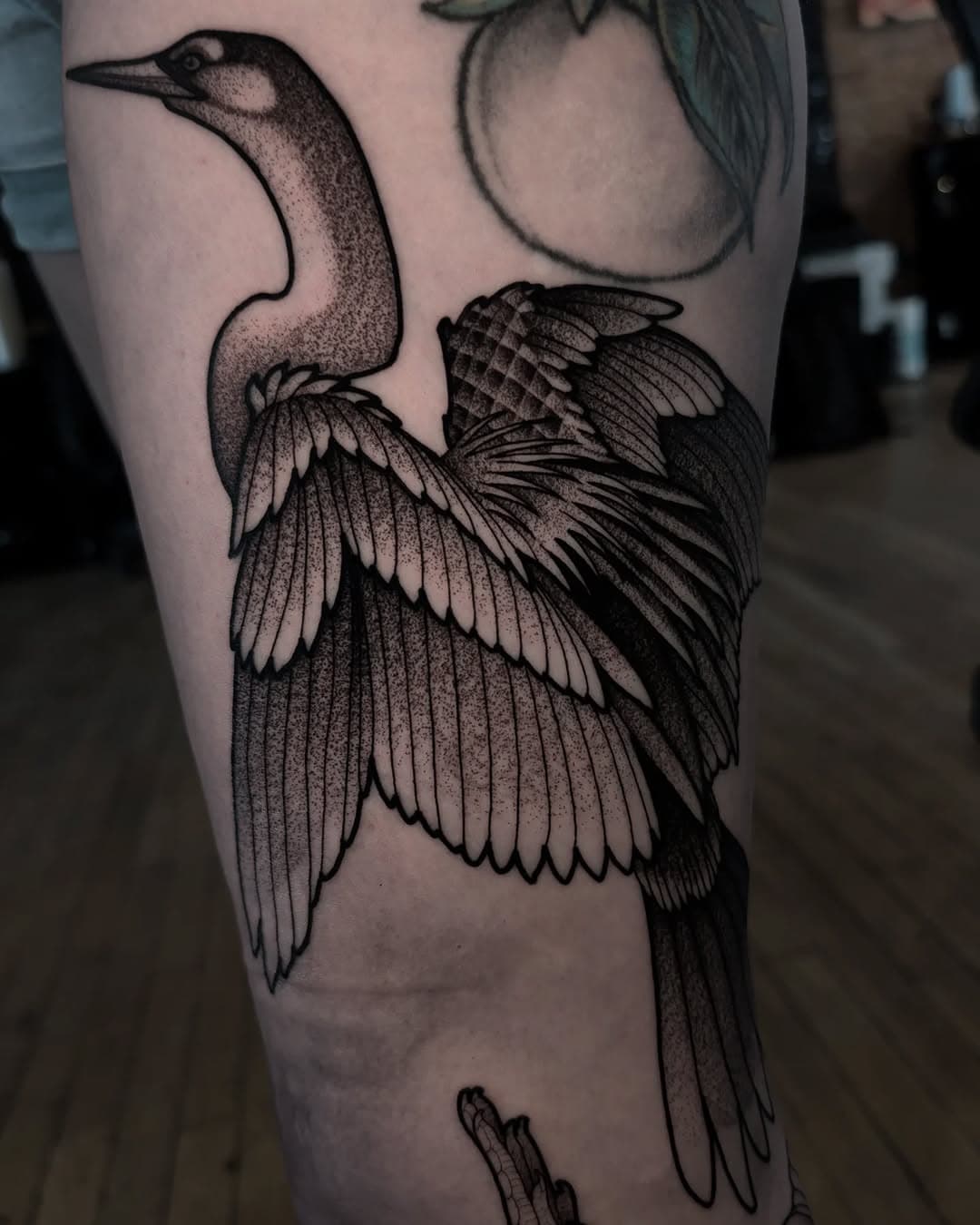 Made an anhinga the other day for Lisa. Nature tattoos and animals will always be some of my favorite projects. I've got availability in March and April if you're looking to book your next tattoo. 

#kansascitytattoo #kansascitytattooartist #kcmo #kcmotattoo #NatureTattoo #anhinga #birdsofinstagram