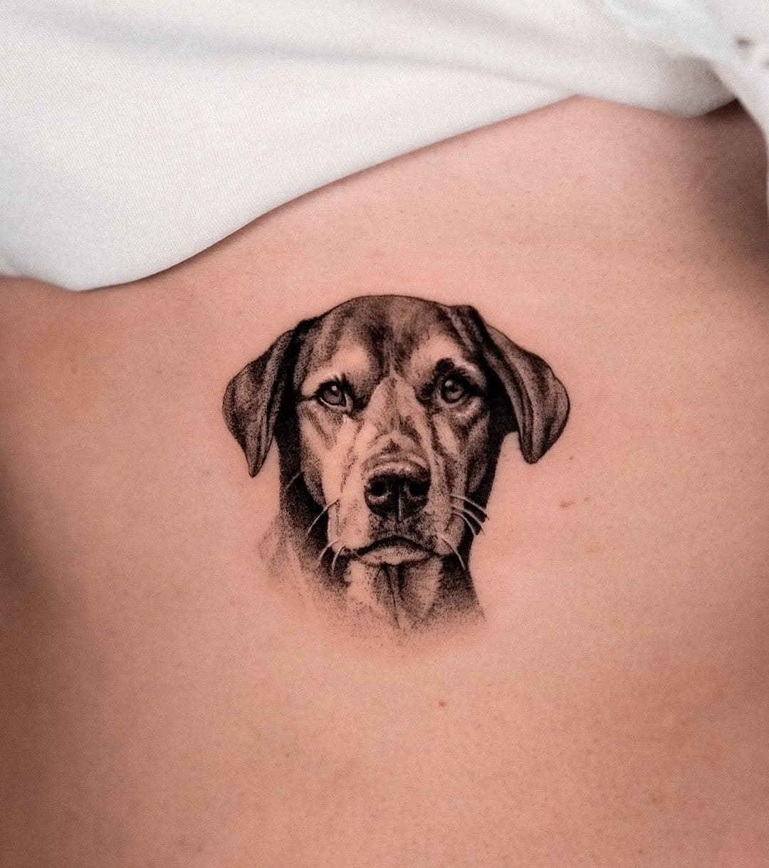 Carry Your Lifelong Companion on Your Skin 🐾✨

Animals teach us pure love, loyalty, and unconditional companionship. If you have a furry, feathered, or scaly friend who has left a mark on your life, why not mark it on your skin?

From highly detailed realism to minimalist designs, we turn that special bond into art. Send us a message, and let’s create a tattoo with meaning together.

📩 DM us your idea, and let’s ink your love for animals.

Walk-ins are welcome! 
Custom designs. Come meet us and ask your questions without obligation!

📍MADRID I VALENCIA I ZARAGOZA I BARCELONA I MÁLAGA I ZÜRICH I MIAMI I MONTREAL I NEW YORK 

Official page: @nobleart 
Founder: @matiasnobletattoo 
Tattoo Academy: @nobleart_academy 

Discover all our services:
TATTOO ACADEMY | TATTOO REMOVAL | PIERCING | TATTOO ANESTHESIA

#nobleart #nobleartcommunity #tattooideas #tattooartist