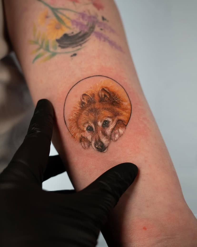 A little ink, a lot of love—our furry companions hold a special place in our hearts forever, and they deserve to be beautifully immortalized. 🖤

Done by our talented guest artist @monitattoo ✨

The tattoo you’ve been dreaming about? It’s just one click away! The bio link’s waiting for you! ✨

#pettattoo #dogtattoo #tinydogtattoo #microrealismtattoo #petportraittattoo #smalldogtattoo #pomeranian #dogportrait #doglife #doglover #pomeranianlove